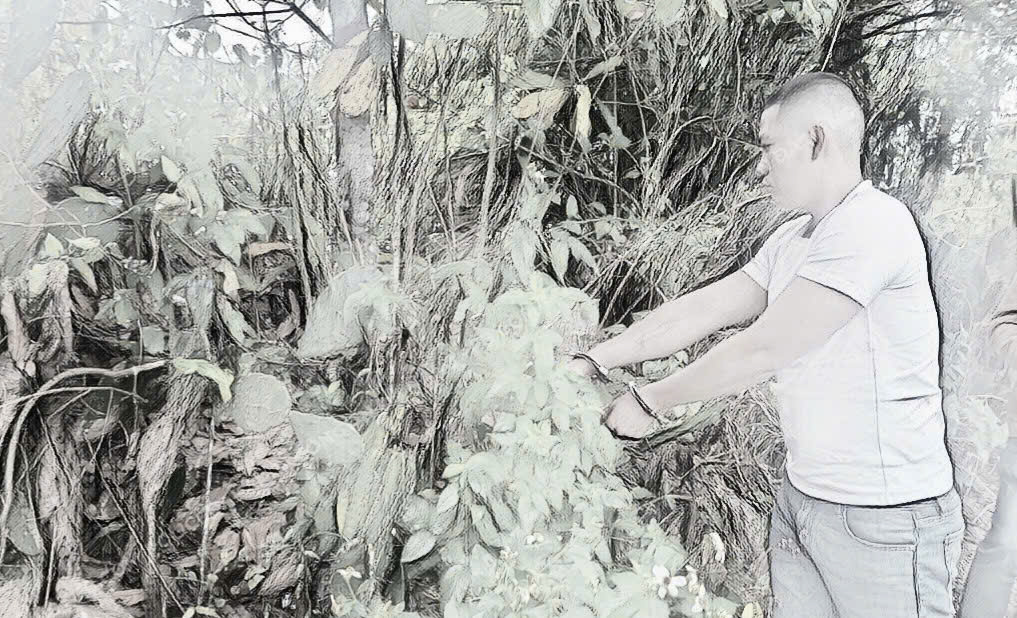 Nghi phạm Nguyễn Công Toàn bị công an bắt giữ khẩn cấp_Ảnh: Công an Đà Nẵng.