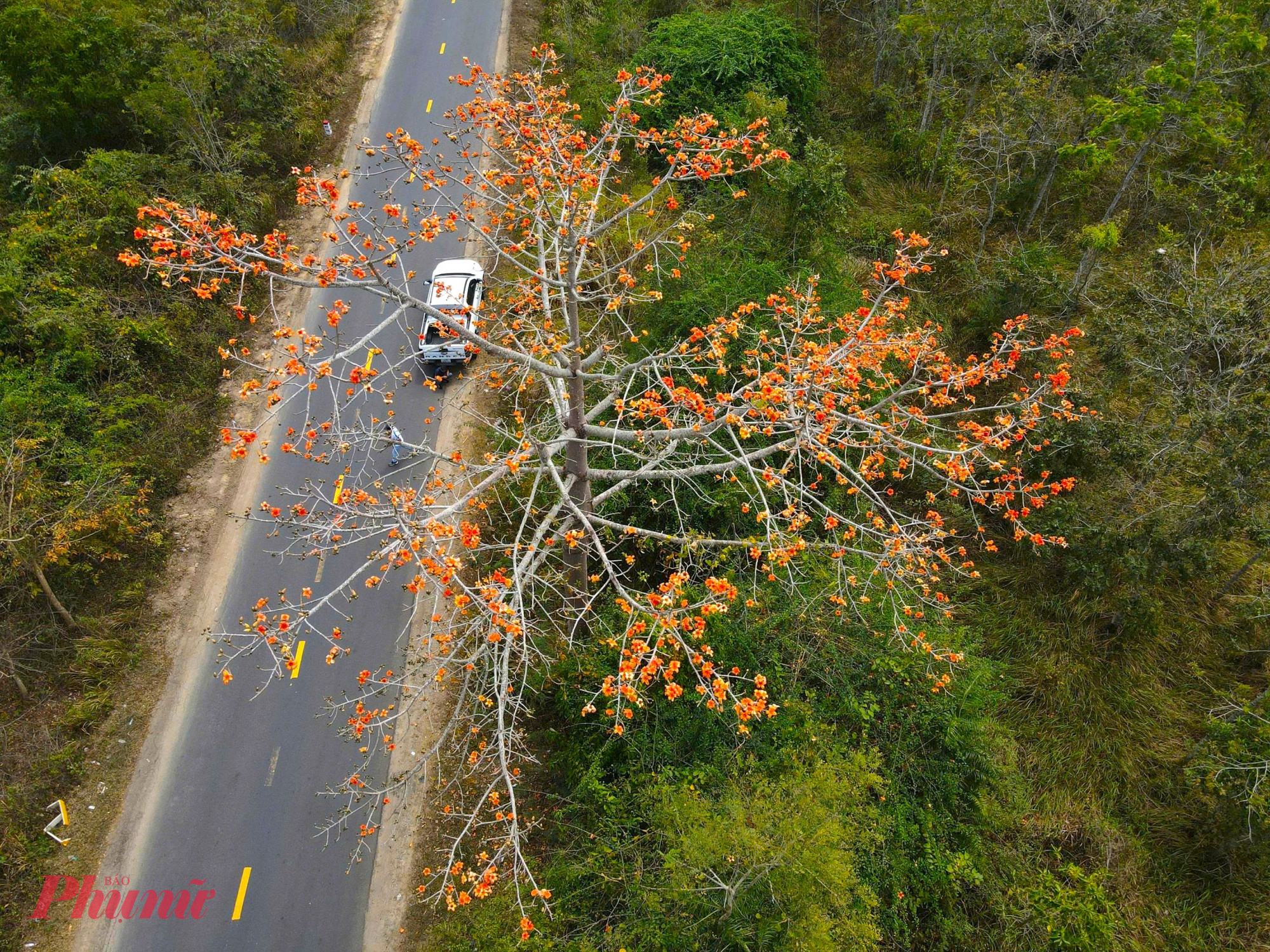 Với đồng bào các dân tộc Ê Đê, Ba Na, Gia Rai, pơ lang còn là một phần linh hồn của đời sống tinh thần. 
