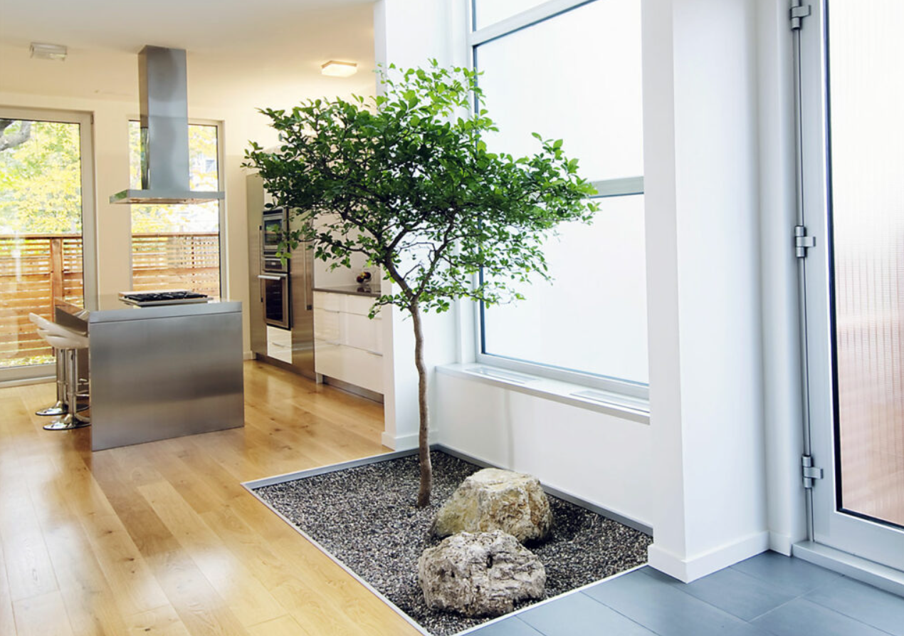 Với mùa đông dài ở Ottawa, LineBox Studio đã mang không gian ngoài trời vào trong nhà bằng một cây xanh đặt ngay trước cửa chính ra vào để chào đón gia đình và khách khi họ bước vào. Không chỉ giúp mọi người có thể ngắm nhìn cây cối đang phát triển, vị trí của nó còn giúp bất cứ ai trong bếp cũng có thể nhìn thấy nó trong khi nấu nướng. Ảnh: @Ảnh: Erin Borg và Doublespace Photography.