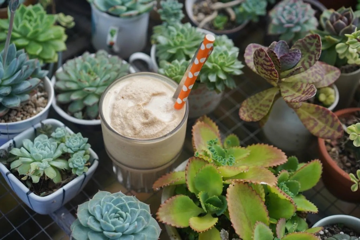 Cà phê bơ đậu phộng.  Bơ đậu phộng, sữa đặc và cà phê pha phin hòa quyện vào nhau tạo nên ly cà phê vô cùng độc đáo. Bạn có thể thưởng thức ở Phin Coffee Restaurant -132/7 Trần Phú.