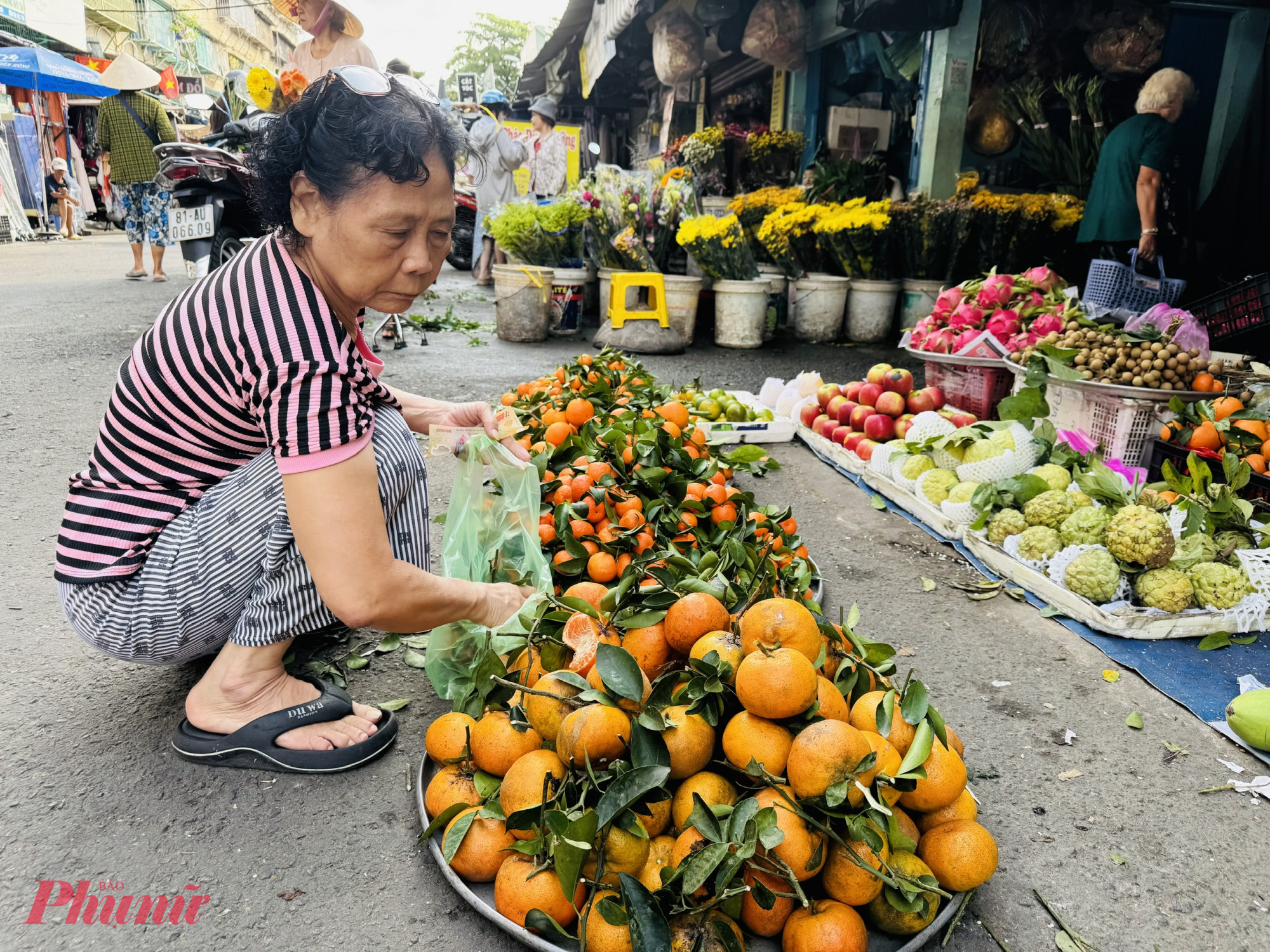 Các loại quýt giá 40.000 - 50.000 đồng/kg