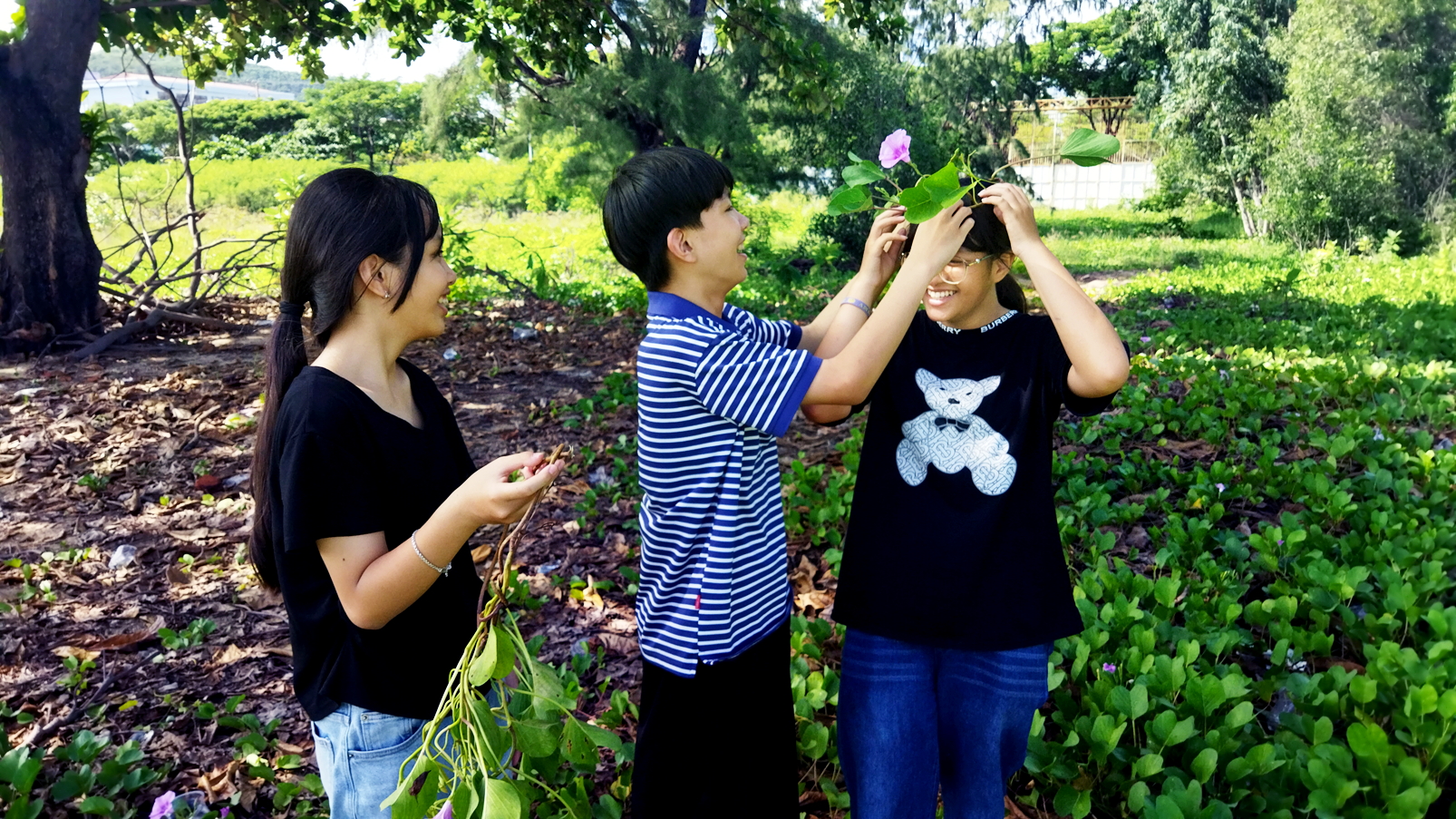 Kết dây muống biển thành vòng đội đầu