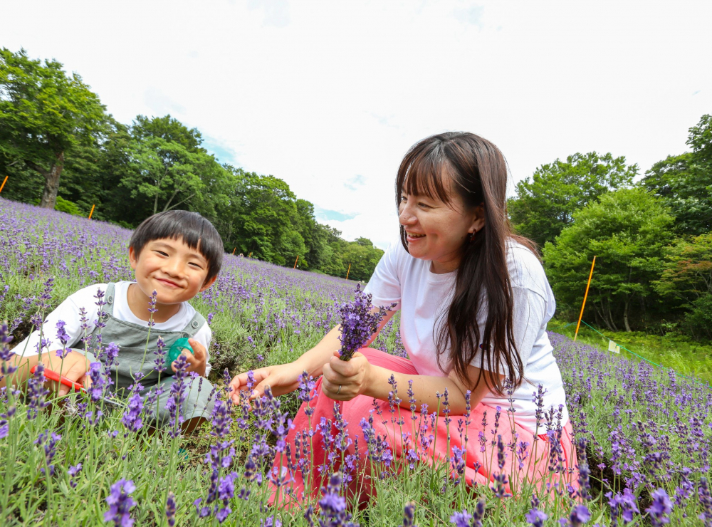 Du khách tận hưởng khoảng thời gian vui vẻ bên gia đình tại Công viên Tambara.