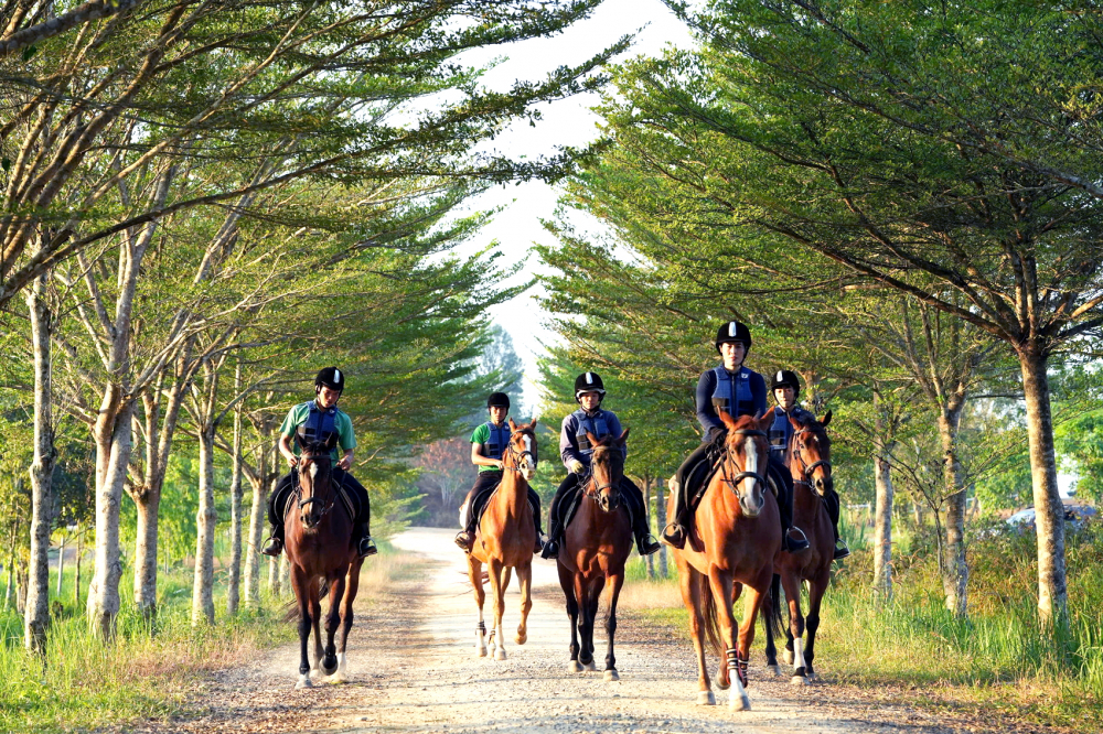 Chị Nguyễn Thị Hà (dẫn đầu) trong buổi huấn luyện ngựa vào buổi sớm - ẢNH: CÁT QUÂN