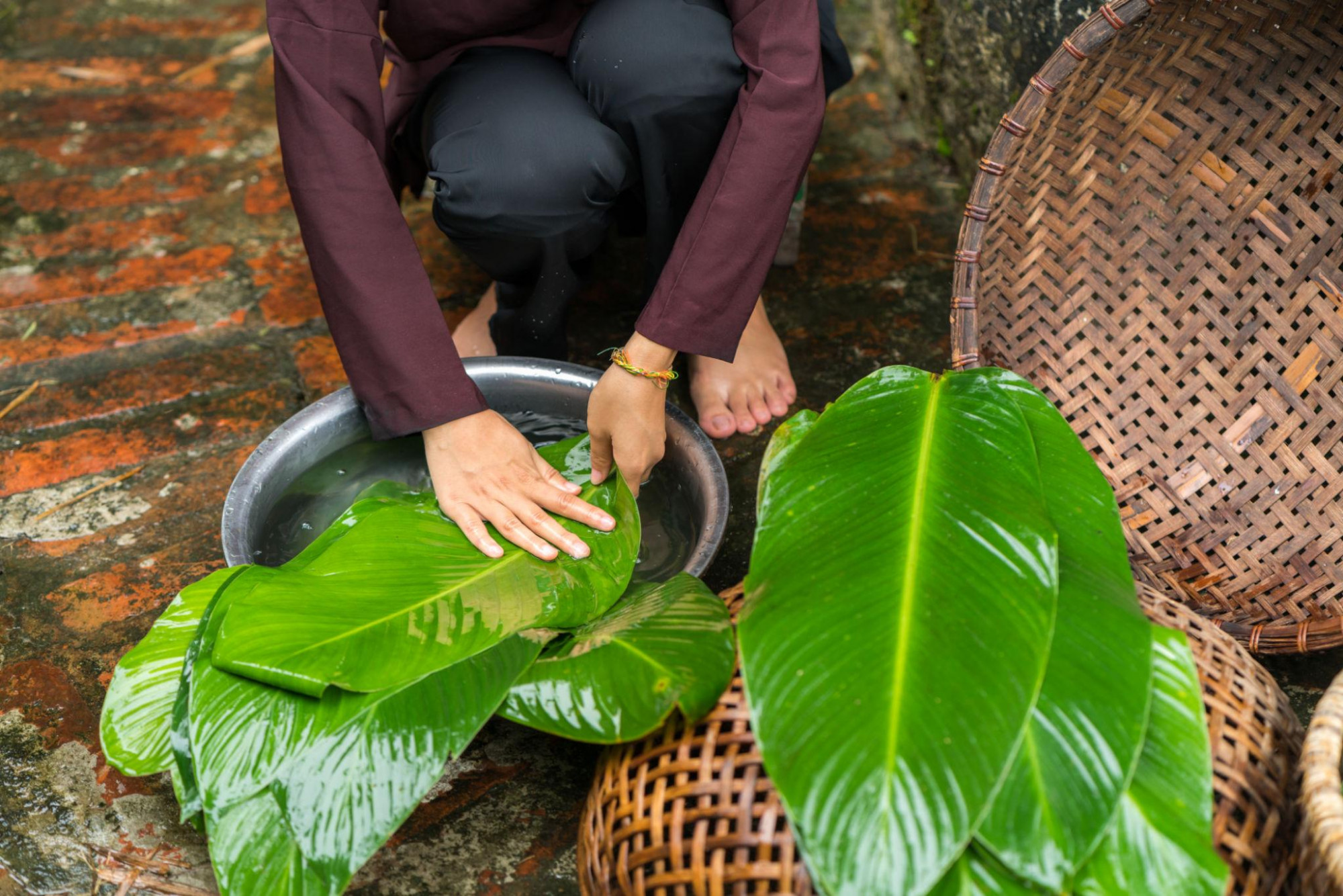 Ở đời, cây nào cũng có lúc bị gió làm rách lá - Ảnh Triệu Vẽ