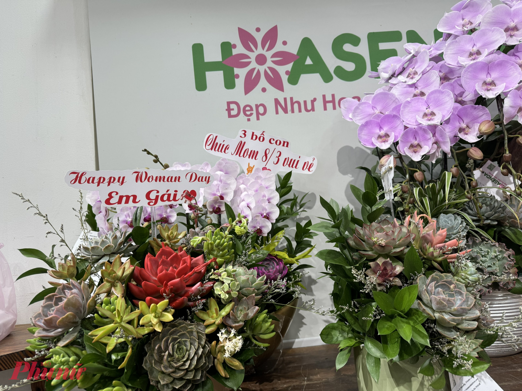 “Sức mua năm nay giảm sâu bất ngờ, phải hơn 70% so với các năm trước. Do giá hoa hồng tăng cao trong khi nhu cầu giảm nên dịp này công ty không dám nhập nhiều hoa tươi, chủ yếu tập trung vào các dòng lan hồ điệp và sen đá” - bà Mỹ chia sẻ.