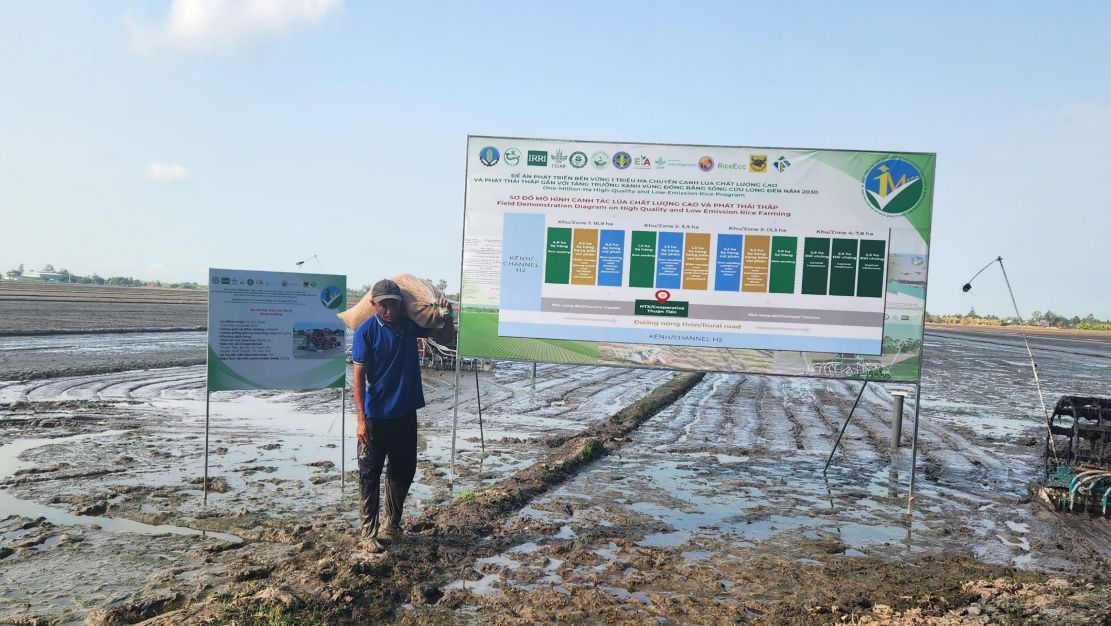 Đề án 1 triệu ha lúa chất lượng cao ở ĐBSCL -  nông dân tăng thêm lợi nhuận 6 triệu đồng/ha/vụ