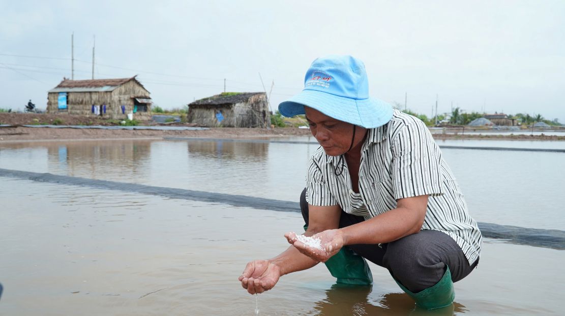 Nhiều diêm dân sản xuất muối ở Cà Mau bị thiệt hại do mưa... Ảnh: H Thịnh