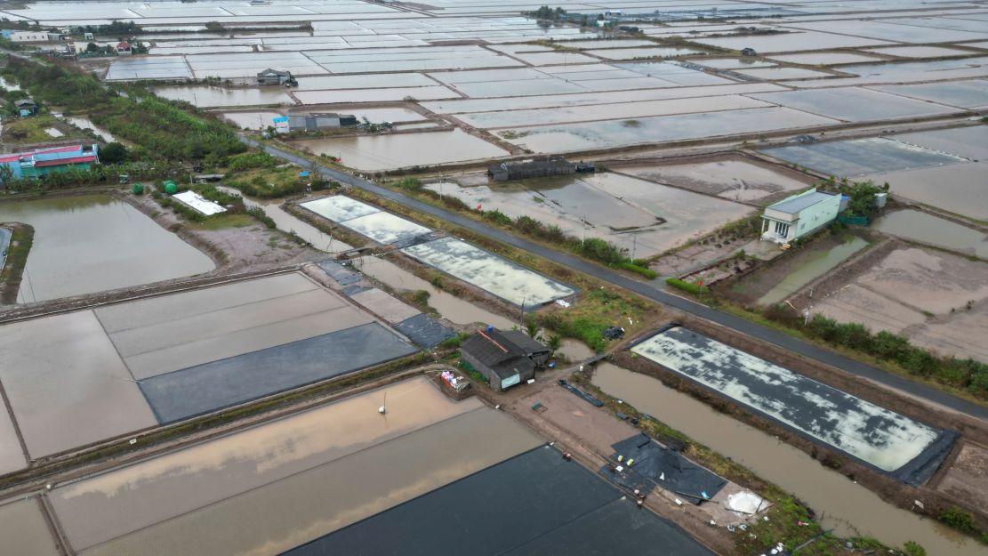 Cánh đồng sản xuất muối rộng lớn ở tỉnh Cà Mau... Ảnh: H Thịnh