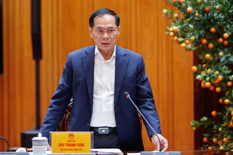 Phó thủ tướng Bùi Thanh Sơn phát biểu tại cuộc họp - Ảnh: VGP/Nhật Bắc