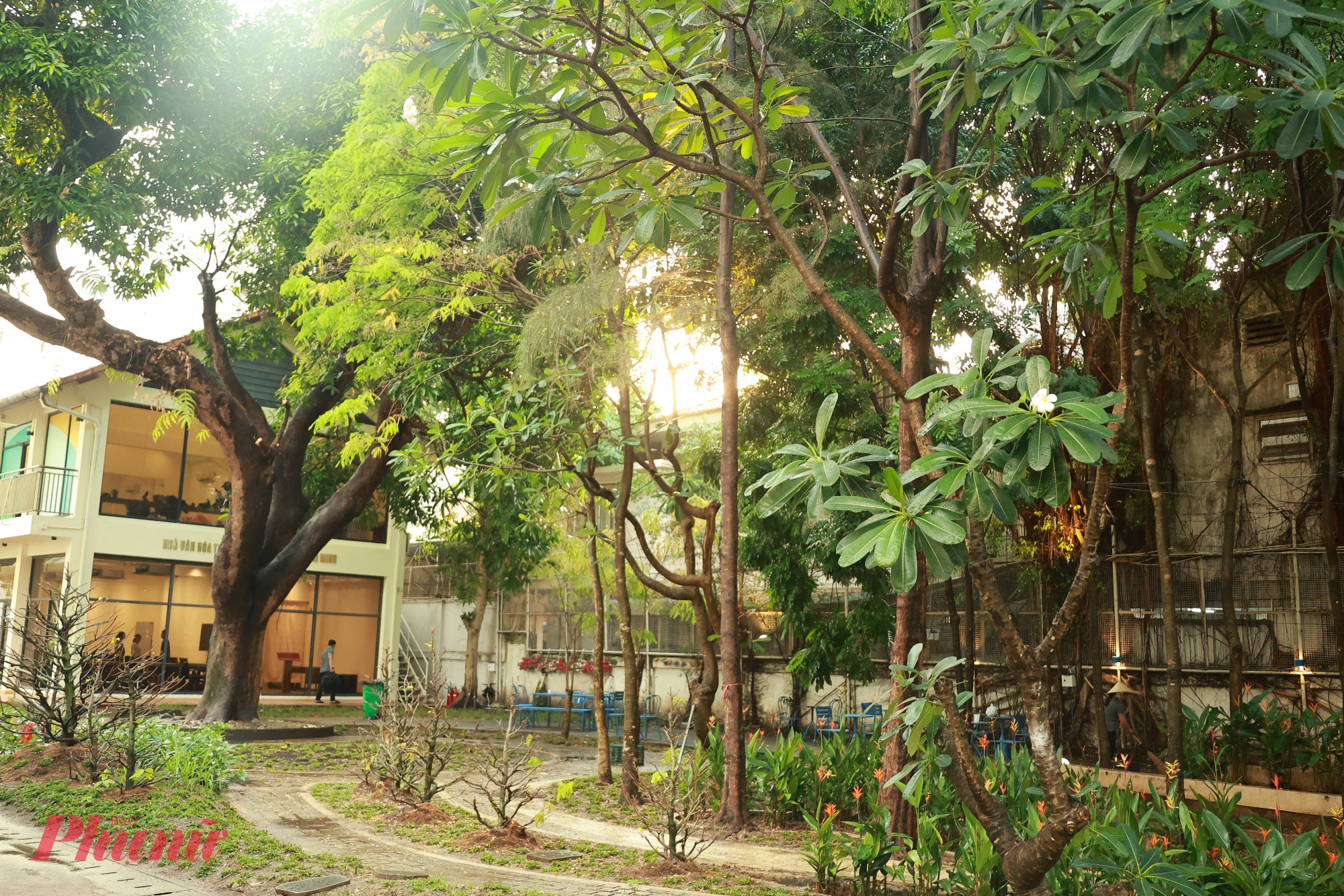 Khu vườn nhiều cây xanh, mát mẻ tại trụ sở mới 