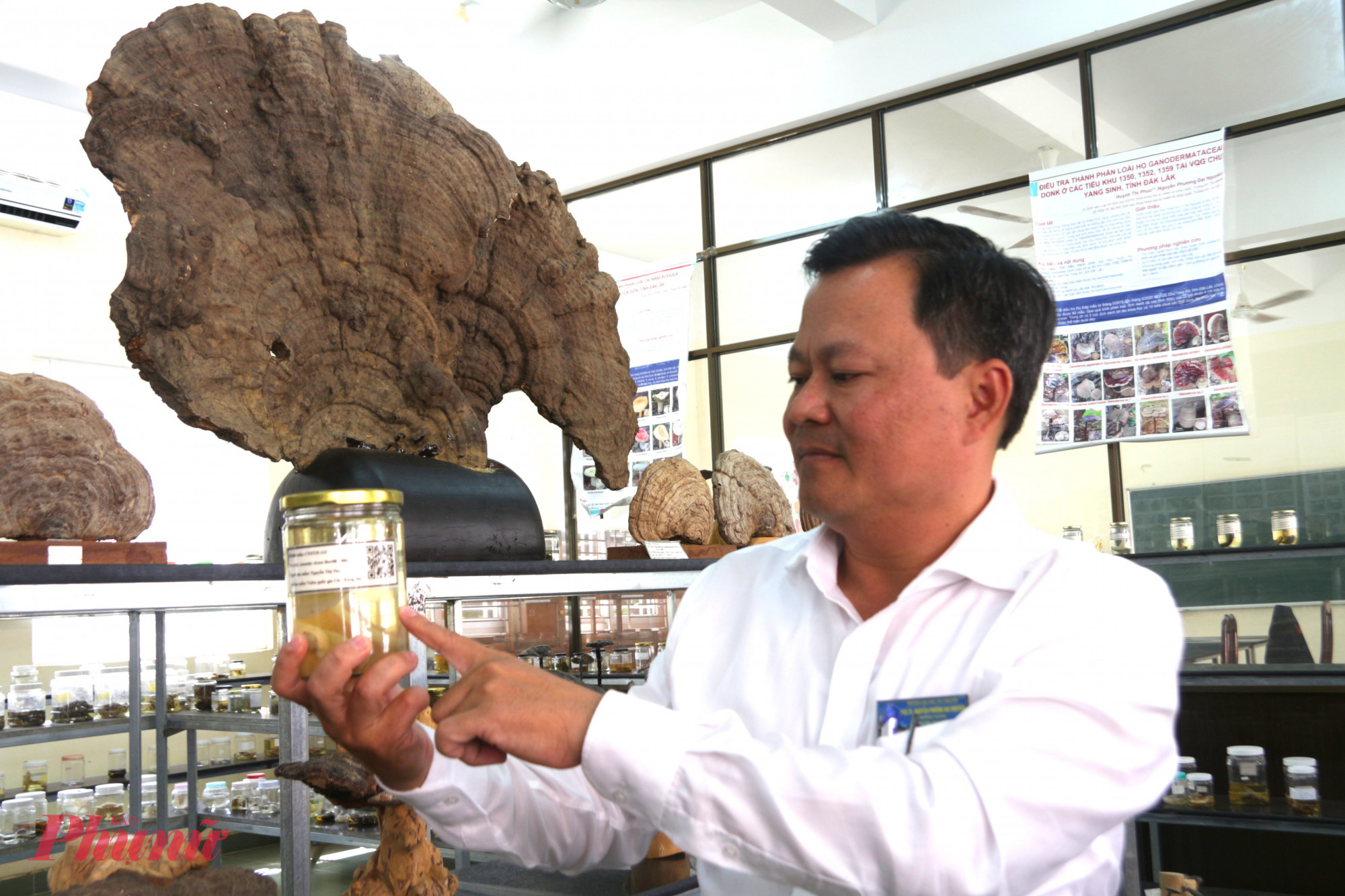 Khám phá 'bảo tàng nấm' độc đáo giữa đại ngàn Tây Nguyên Từng mẫu nấm được nhóm nghiên cứu của thầy Nguyên định danh, tạo mã QR để thuận lợi cho việc bảo quản, nghiên cứu