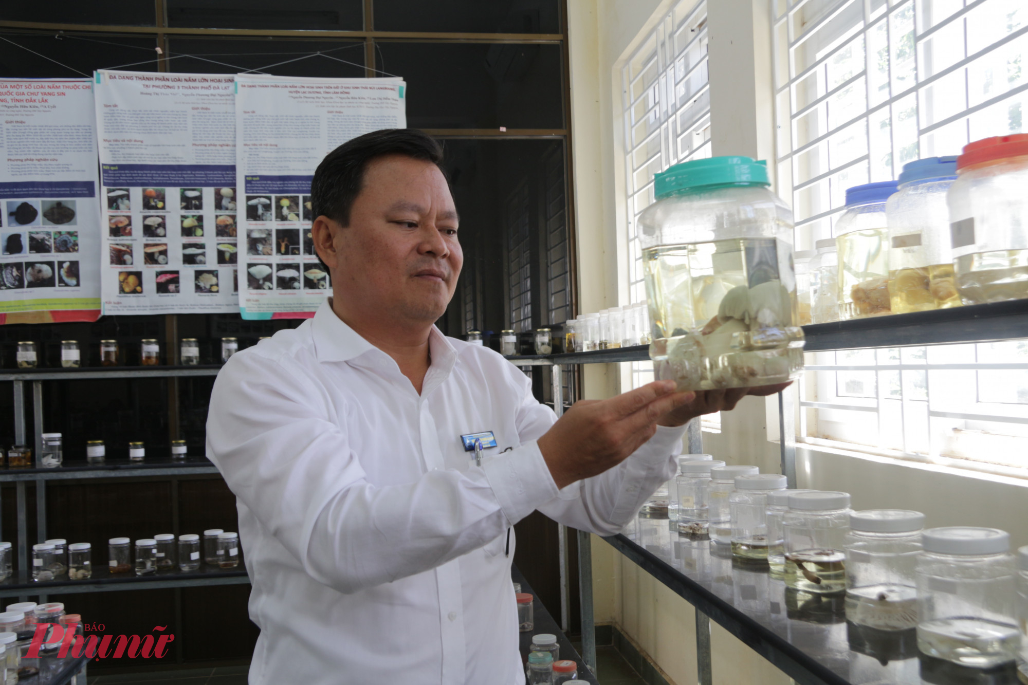 Khám phá 'bảo tàng nấm' độc đáo giữa đại ngàn Tây Nguyên Các mẫu nấm độc được nhóm nghiên cứu thu thập, trưng bày tại bảo tàng