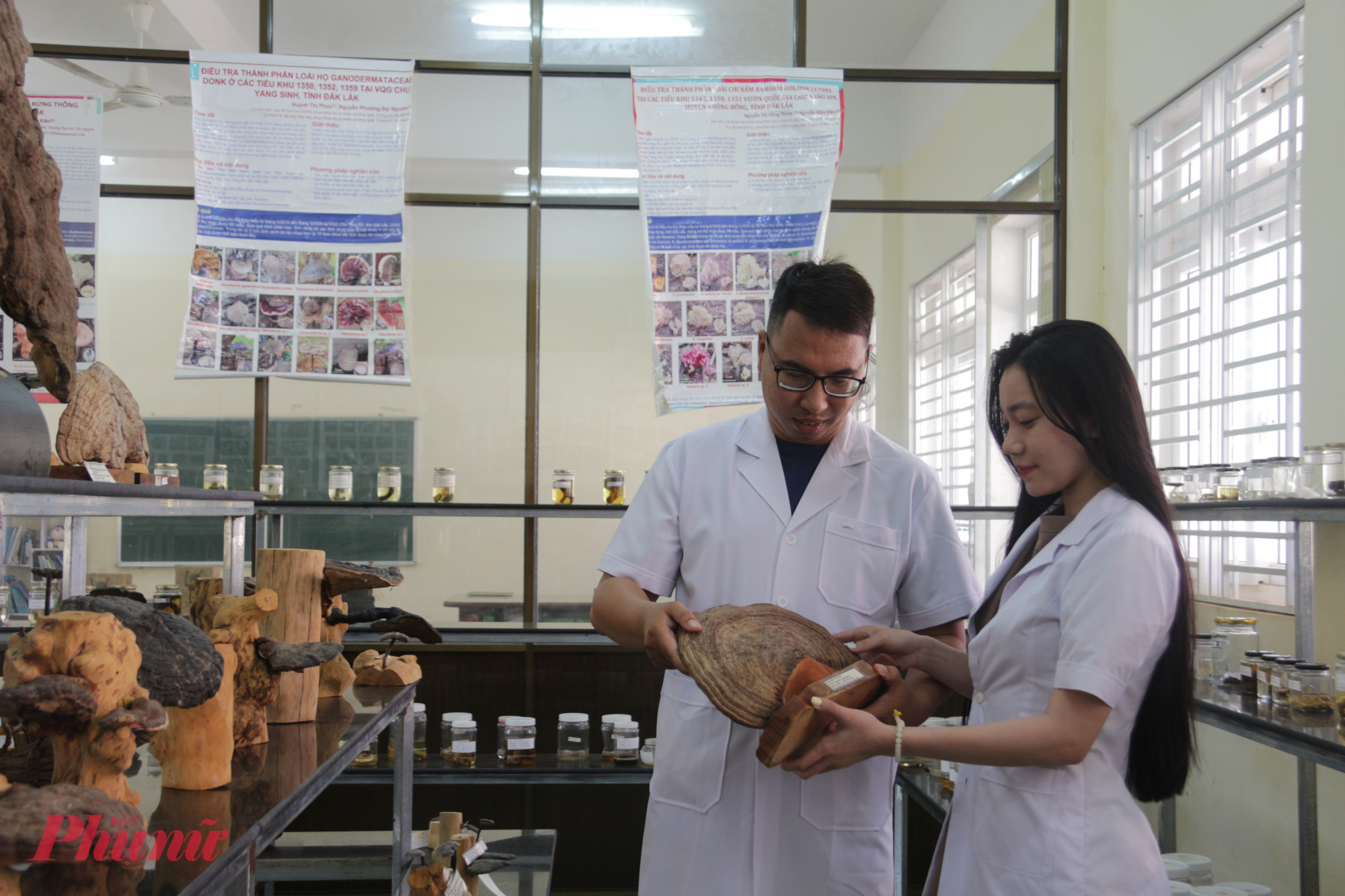 Khám phá 'bảo tàng nấm' độc đáo giữa đại ngàn Tây Nguyên Bảo tàng nấm là nơi phục vụ đắc lực cho việc nghiên cứu khoa học