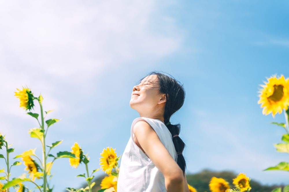 Cuộc đời rực rỡ là cuộc đời như thế nào? - Ảnh minh họa: Shutterstock