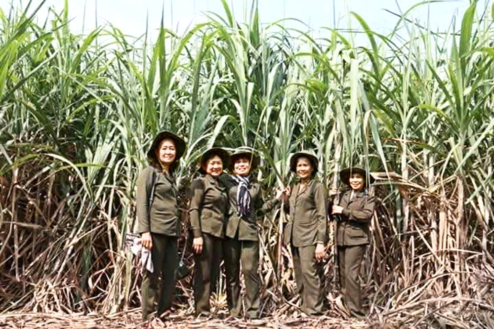 Các nữ cựu thanh niên xung phong  về thăm lại nông trường Lê Minh Xuân