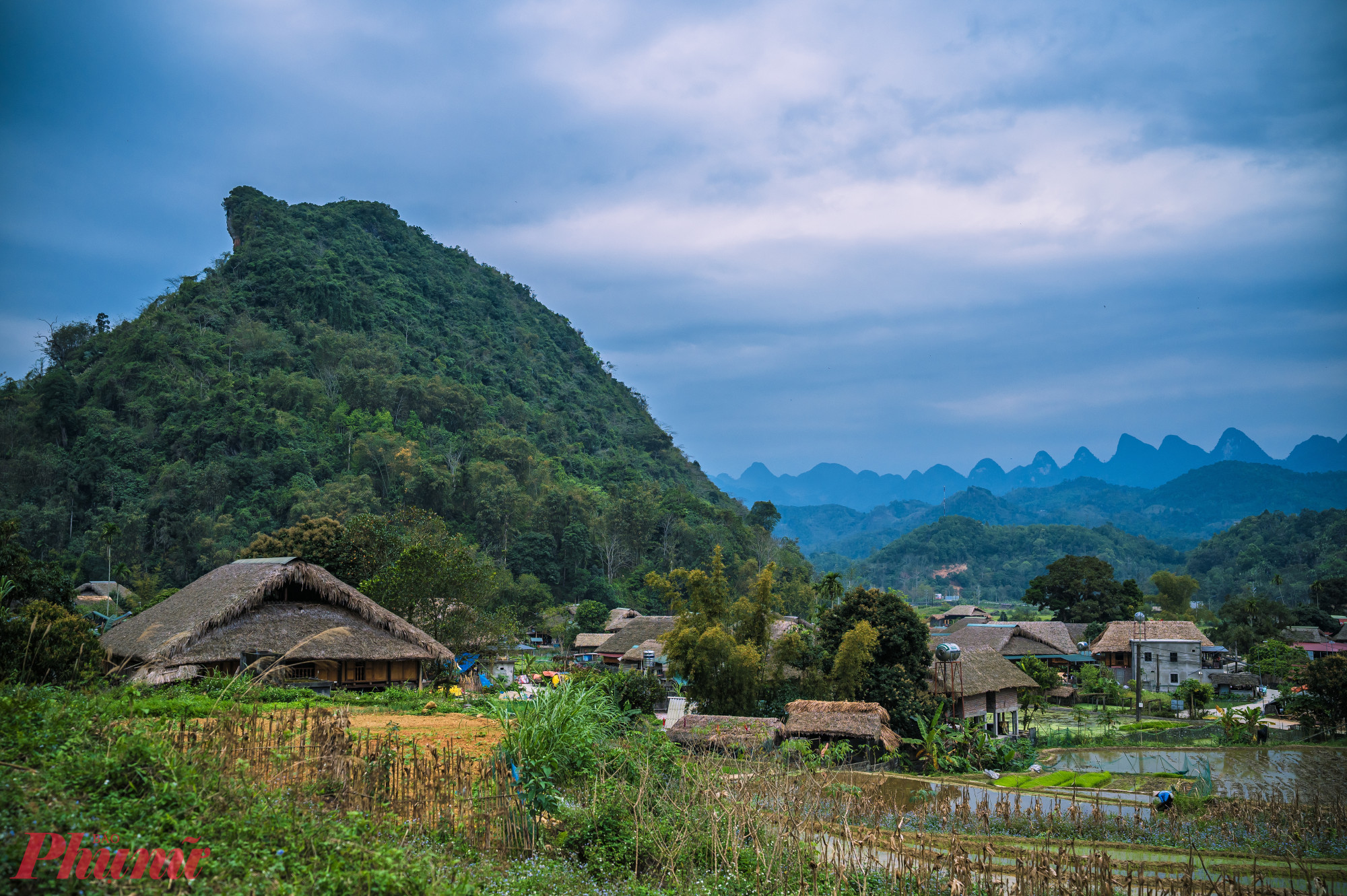 Chúng tôi ngược ngàn đến với Hà Giang vào những ngày cuối tháng 3. Dẫu thời điểm này giá vé xe, máy bay không hề mềm do lượng người di chuyển sau Tết khá đông, nhưng bấy nhiêu chẳng thể ngăn được quyết tâm của những tâm hồn trót yêu sắc hoa nơi địa đầu Tổ quốc.