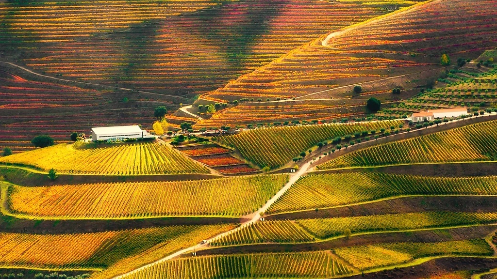 Thung lũng Douro, Bồ Đào Nha - Ảnh: Olga Gavrilova / Shutterstock