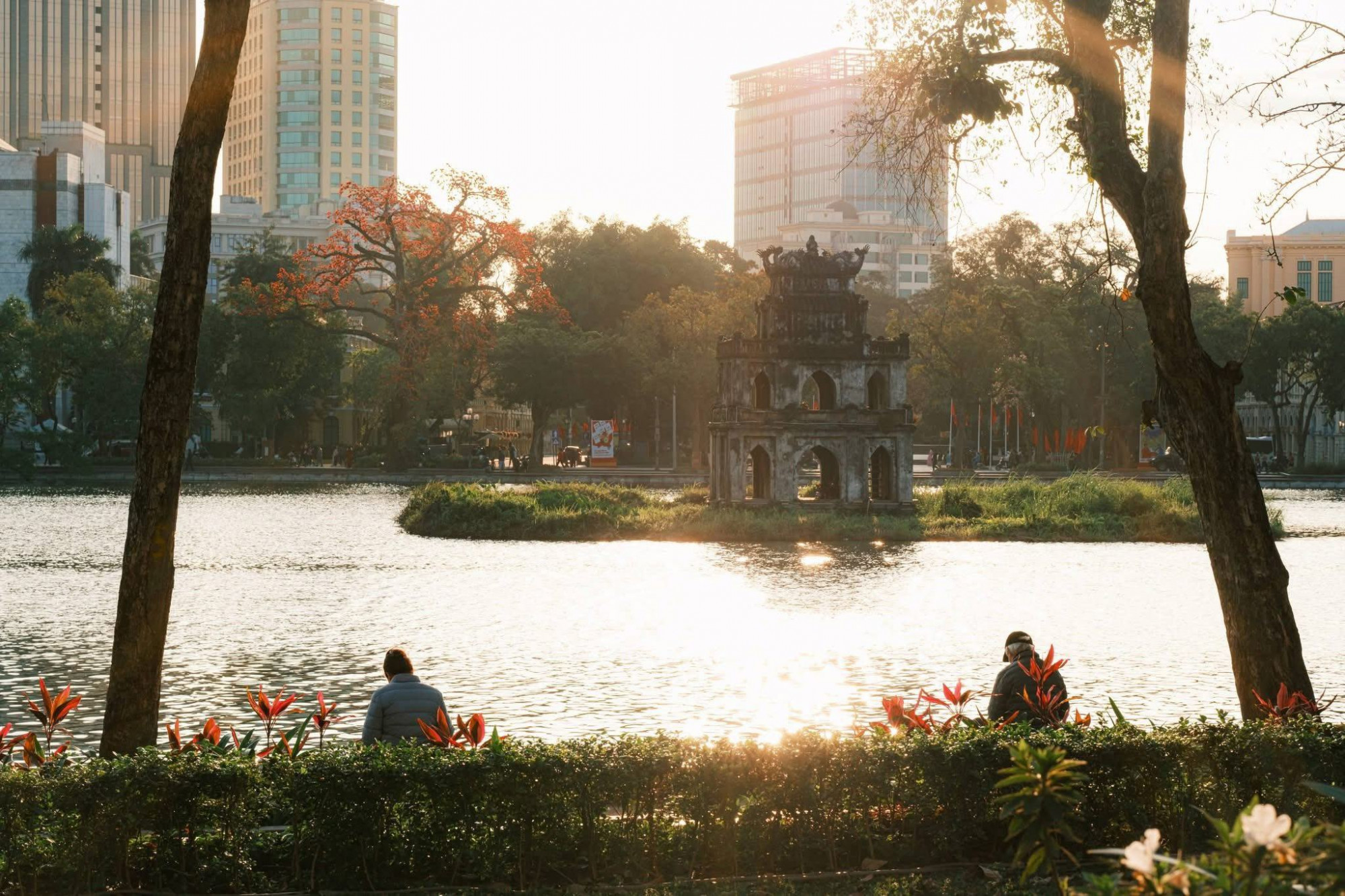 Hoa gạo ở hồ Gươm