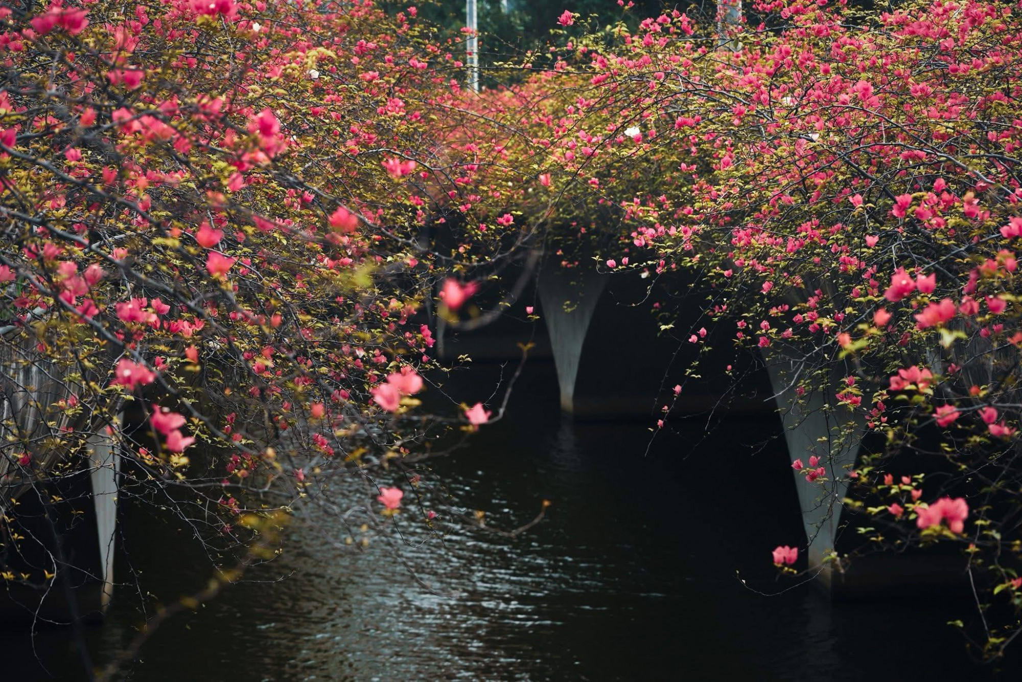 Ảnh: Review Hà Nội