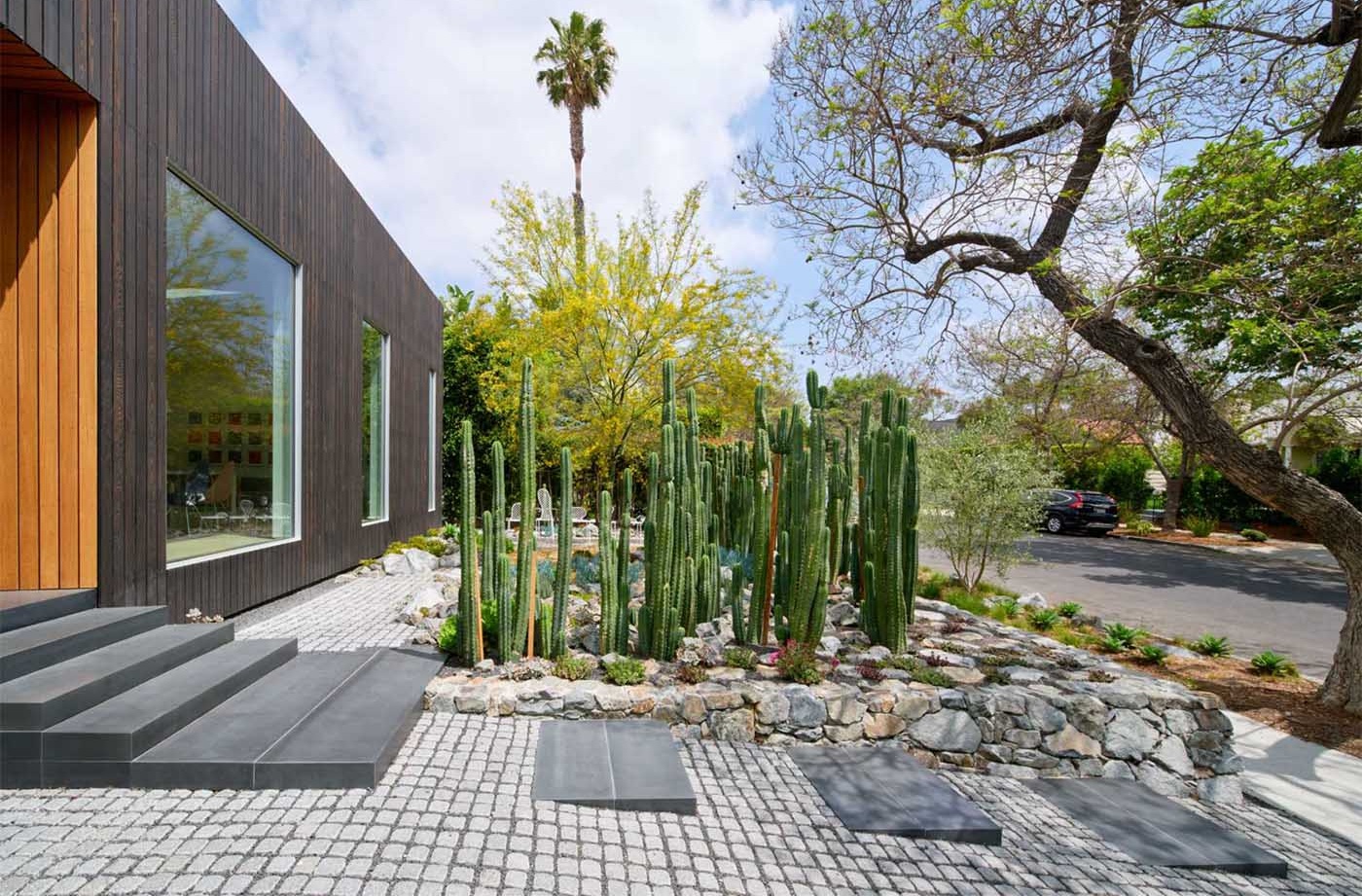 Hàng rào xương rồng này tạo sự riêng tư cho ngôi nhà, mà không hoàn toàn che khuất tầm nhìn ra đường phố. Ảnh: @Aalso Architects, HYCArch.