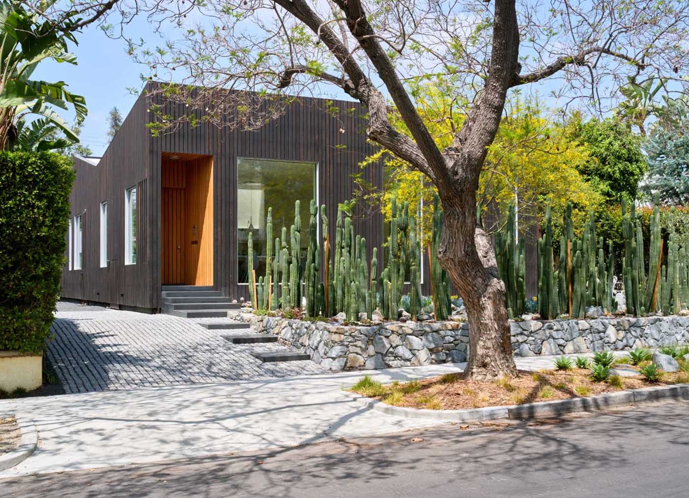 Hợp tác cùng kiến ​​trúc sư cảnh quan David Hocker của Hocker Design, sân vườn nhỏ phía trước ngôi nhà được thiết kế với một hàng rào dày đặc gồm các cây xương rồng San Pedro, thay thế cho mẫu hàng rào truyền thống. Ảnh: @Aalso Architects, HYCArch.