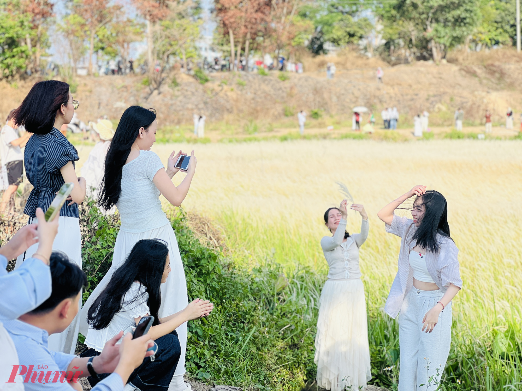 Theo ghi nhận, thời điểm lý tưởng nhất để chụp ảnh tại đây là từ 15g đến 18g. Đặc biệt, khung giờ từ 17g đến 18g, khi ánh hoàng hôn dịu nhẹ phủ lên những bông cỏ lau sắc vàng óng - được xem là “thời điểm vàng”, mang lại hiệu ứng hình ảnh ấn tượng.