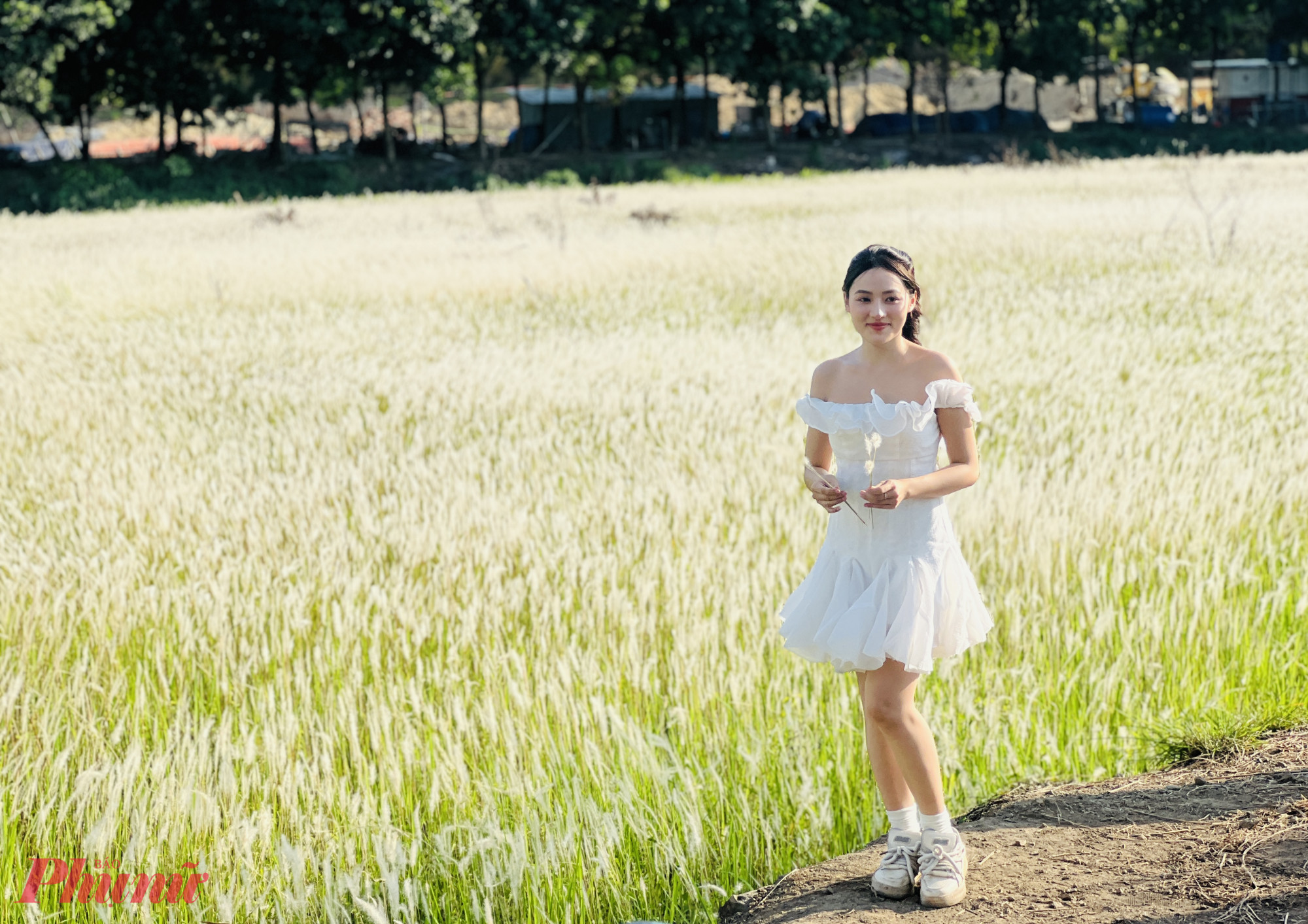 Từ khoảng 15h, lượng người đổ về khu vực bắt đầu tăng nhanh và đạt đỉnh vào lúc chiều muộn. Ngoài chụp ảnh, nhiều bạn trẻ còn đến để “săn” khoảnh khắc mặt trời lặn - thường được ví von là “mặt trời trứng muối”.