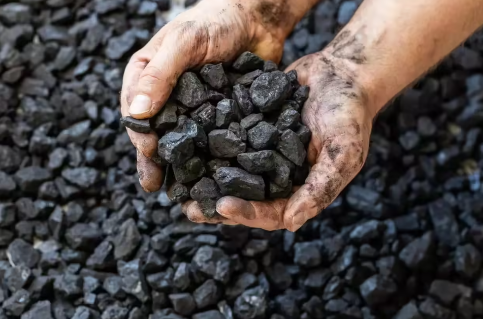 Các quốc gia châu Á đang quay lại sử dụng điện than để đảm bảo nguồn cung năng lượng và giảm chi phí - Ảnh: iStock