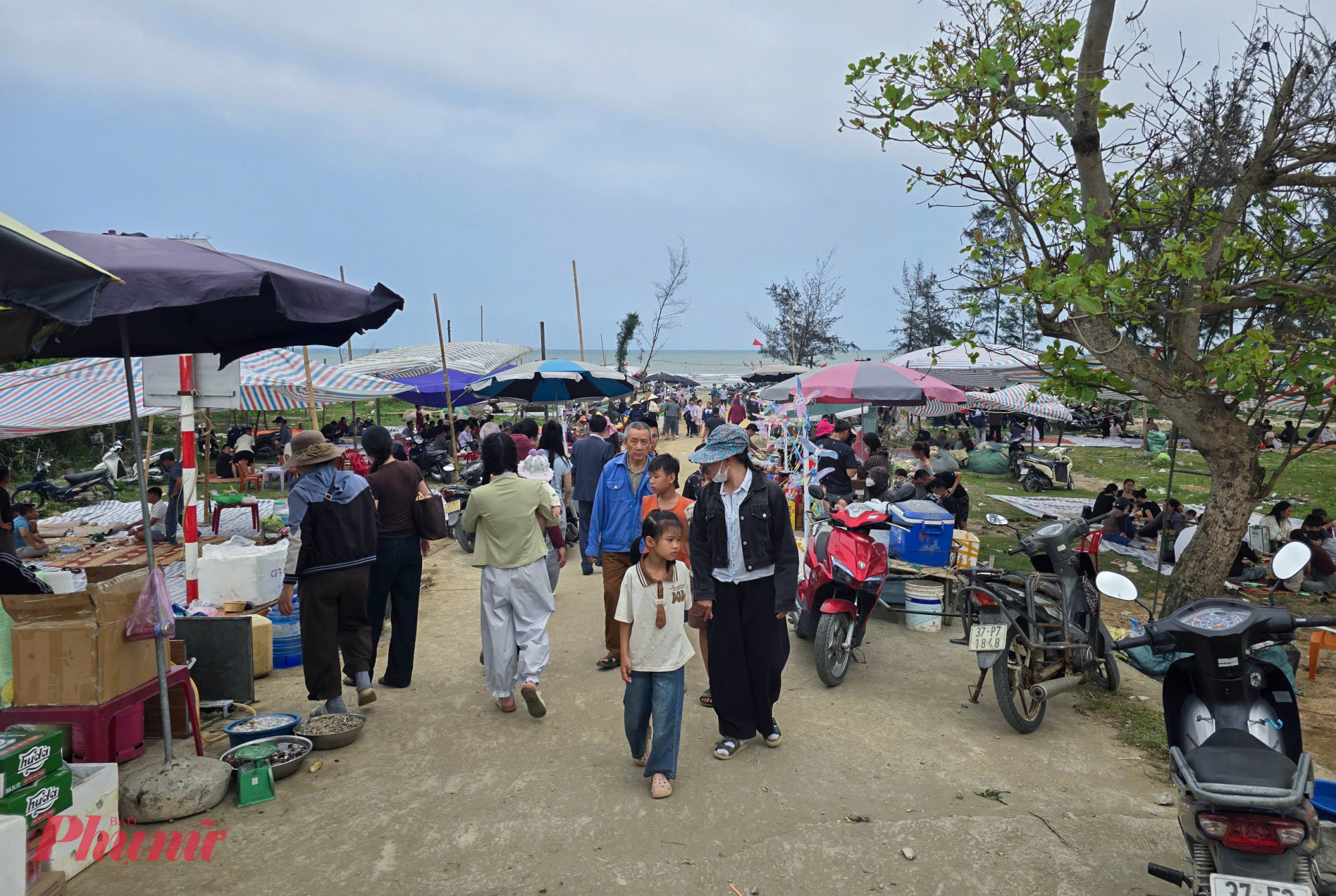 Những ngày qua, bãi biển xã Hải Châu (Nghệ An) trở nên nhộn nhịp hơn bao giờ hết khi từng nhóm bạn trẻ, du khách gần xa đổ về thưởng thức món cá trích nướng dân dã. Dọc bên tuyến đường ven biển, các bếp than đỏ lửa suốt từ sáng, mùi cá nướng thơm lừng lan tỏa, biến nơi đây thành một “điểm hẹn” ẩm thực hấp dẫn.