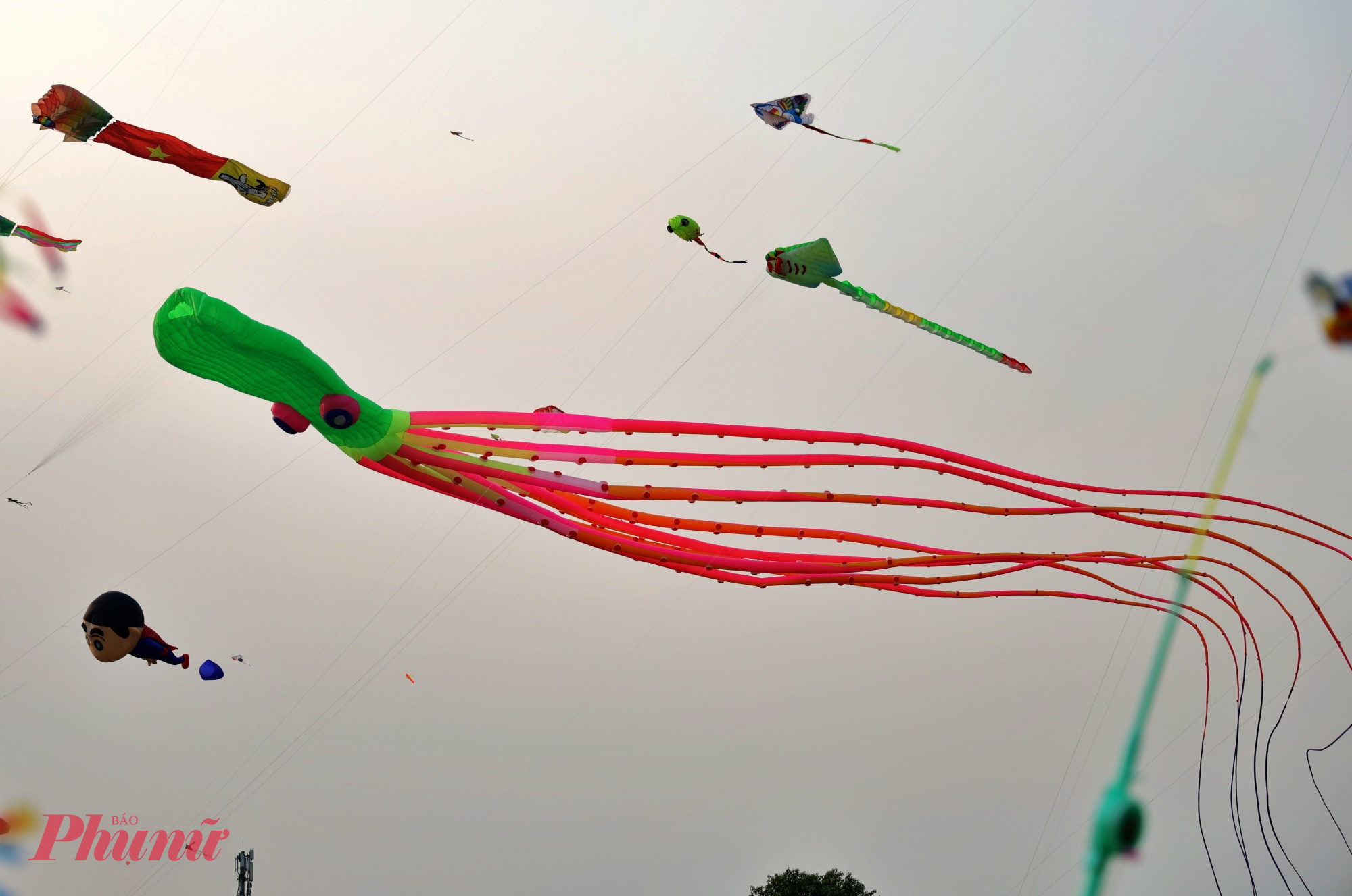 Diều bạch tuộc dài hàng chục mét thu hút sự chú ý của người dân