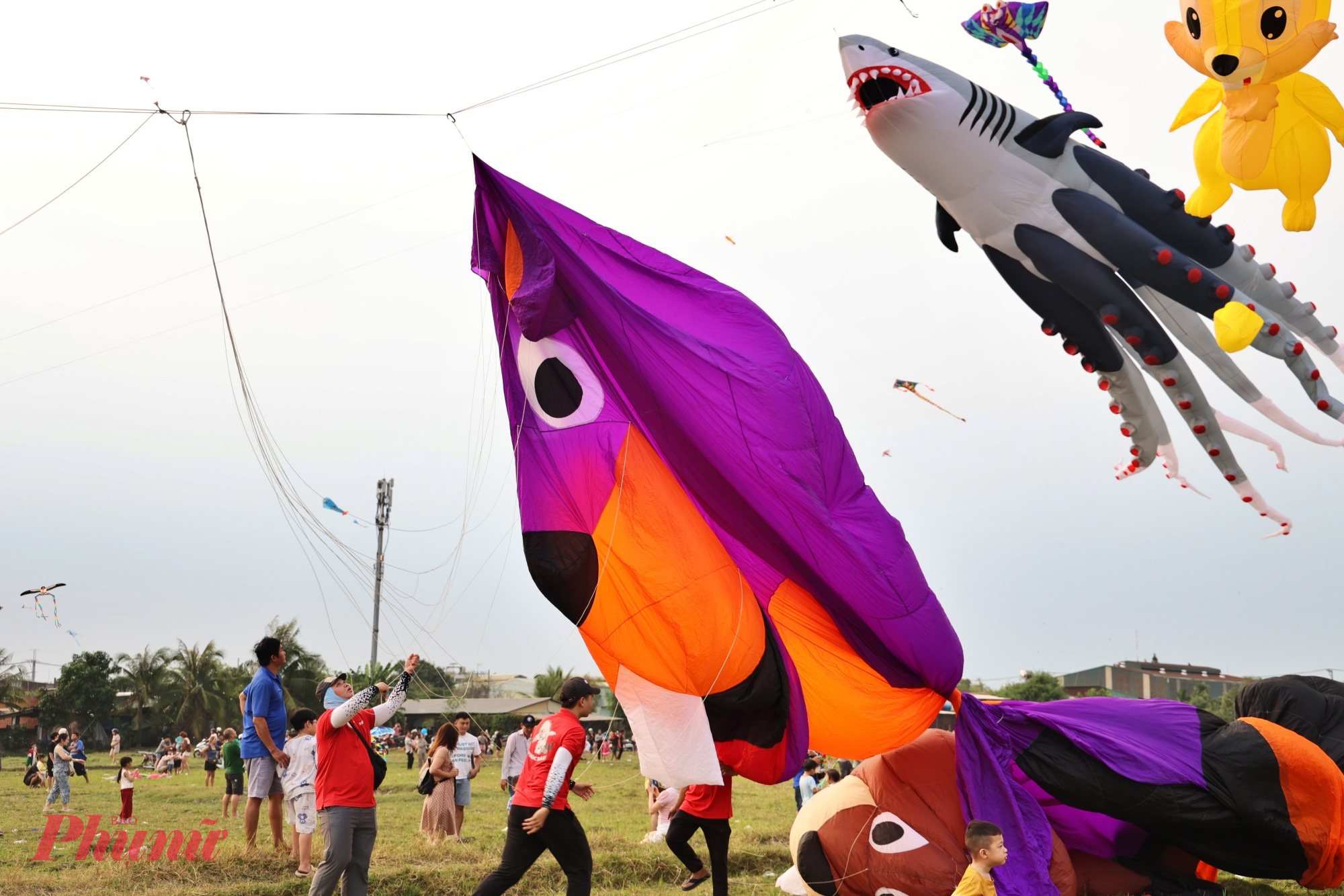 Không chỉ thu hút người dân đến vui chơi, cánh đồng diều Bà Canh còn là nơi hội tụ của nhiều câu lạc bộ diều chuyên nghiệp. Sự xuất hiện của các loại diều kích thước lớn, thiết kế độc đáo đã trở thành “điểm nhấn” khiến nhiều người thích thú.