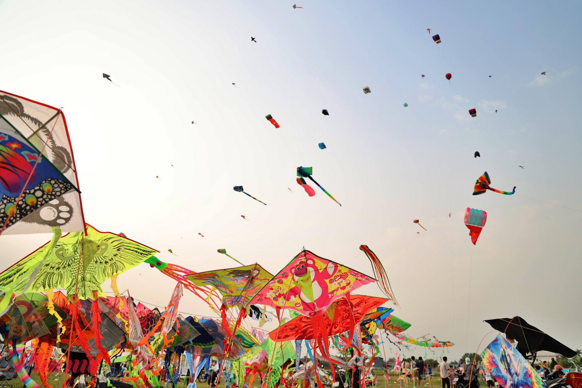 cánh đồng diều Bà Canh vẫn là một trong những điểm “giải nhiệt” lý tưởng mỗi chiều, nơi họ có thể tạm rời xa nhịp sống đô thị để hòa mình vào thiên nhiên và những cánh diều no gió.