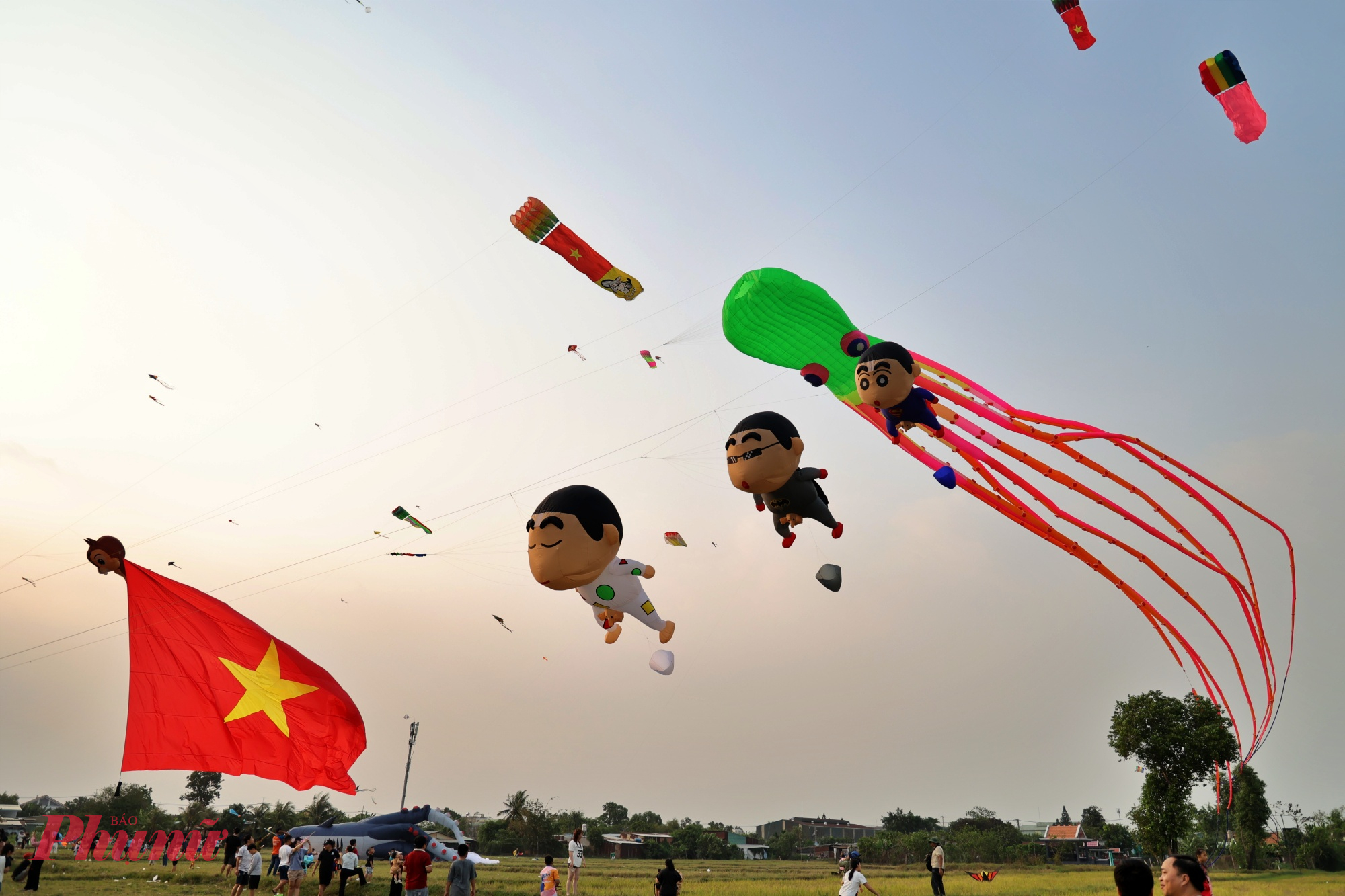 Ngoài những mẫu diều khổng lồ, cũng có những loại diều với hình dáng ngỗ