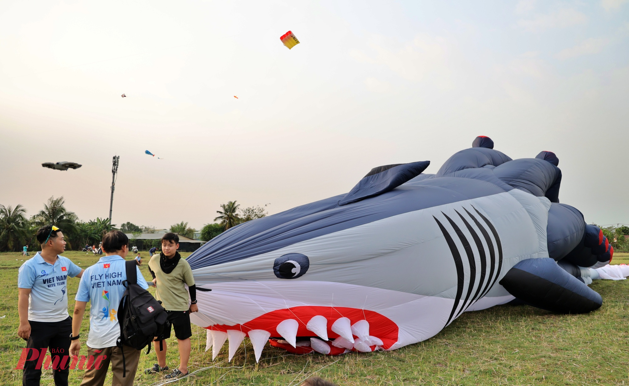 Nghệ nhân Nguyễn Đăng Thịnh, chủ nhiệm câu lạc bộ, cho biết: “Tùy điều kiện gió và độ cao mong muốn, trung bình cần hơn 3 người để thả được diều cá mập - bạch tuộc khổng lồ”. Đây là mẫu diều khá đặc biệt, trên thế giới hiện chỉ có 3 con, giá khoảng 45 triệu đồng và thường được câu lạc bộ của anh mang đi tham gia các sự kiện, cuộc thi quốc tế hơn là thả trong nước. 