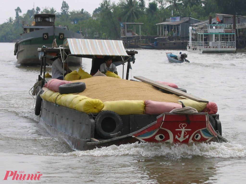 Thương lái ở Đồng Tháp đưa ghe đi mua lúa cho nông dân. Ảnh: H Trọng