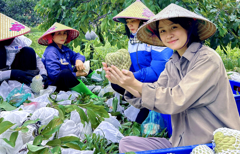 Đặng Thị Ngọc Hà đến vườn của người dân quay video, giới thiệu sản phẩm - ẢNH: KHÁNH TRUNG