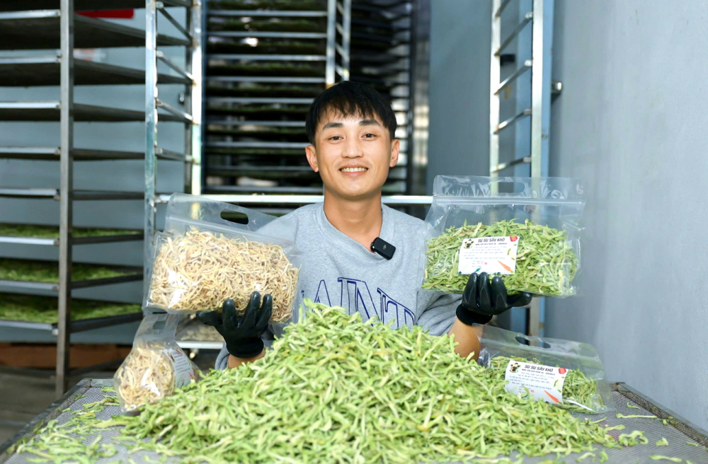 Trăn trở với cảnh “được mùa mất giá”, anh Vũ Văn Giáp đã về quê chế biến sâu rau củ để nâng cao giá trị và mở rộng thị trường tiêu thụ - ẢNH: KHÁNH TRUNG