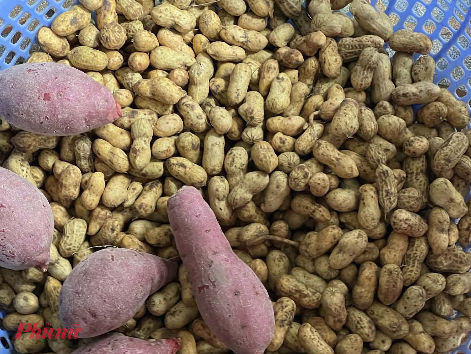 Mẹ thường gửi đậu phộng, khoai lang nhà trồng để tôi ăn sáng hoặc rang ăn