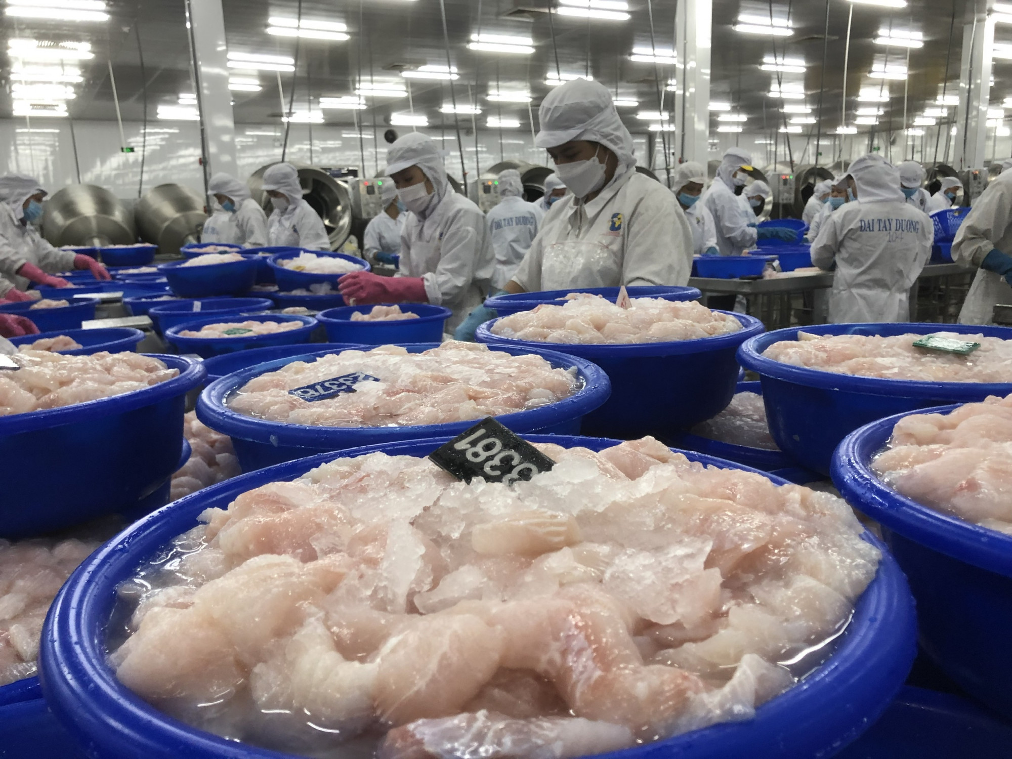 Khó khăn quá nhiều, doanh nghiệp cần hỗ trợ vốn, lãi suất Doanh nghiệp thủy sản đang chịu nhiều sức ép lớn