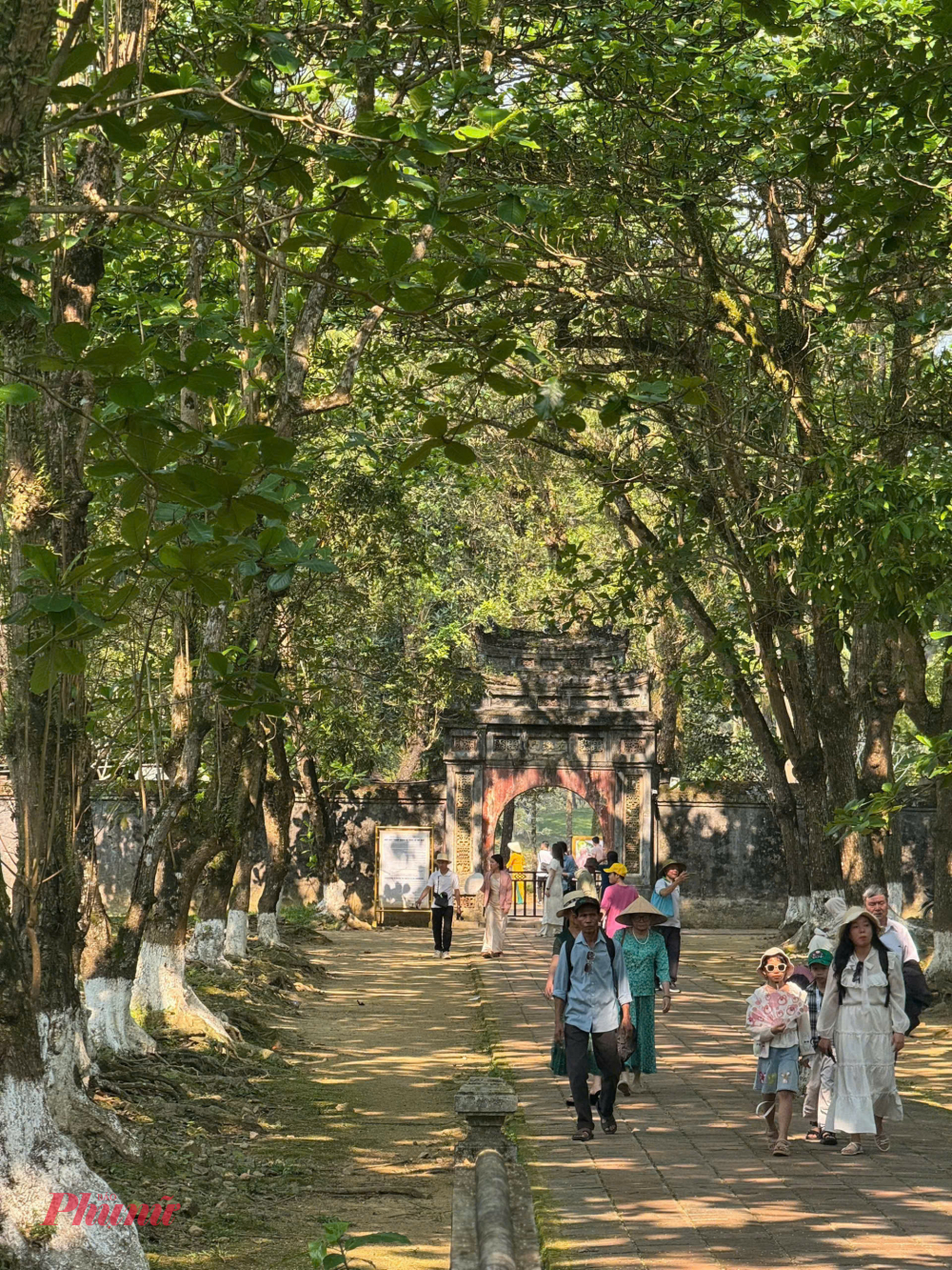 Hiện nay, TP Huế áp dụng miễn phí tham quan di tích cho công dân Việt Nam vào 5 dịp trong năm, gồm: mùng 1 Tết Nguyên đán, ngày 26/3 (Ngày giải phóng Huế), ngày 19/8 (Cách mạng Tháng Tám), ngày 2/9 (Quốc khánh) và ngày 23/11 (Ngày Di sản văn hóa Việt Nam). Bên cạnh đó, địa phương cũng triển khai nhiều chính sách hỗ trợ như miễn phí tham quan cho học sinh các cấp trên địa bàn và các đoàn học sinh toàn quốc tham gia hoạt động ngoại khóa; giảm phí đối với sinh viên các trường đại học, cao đẳng.