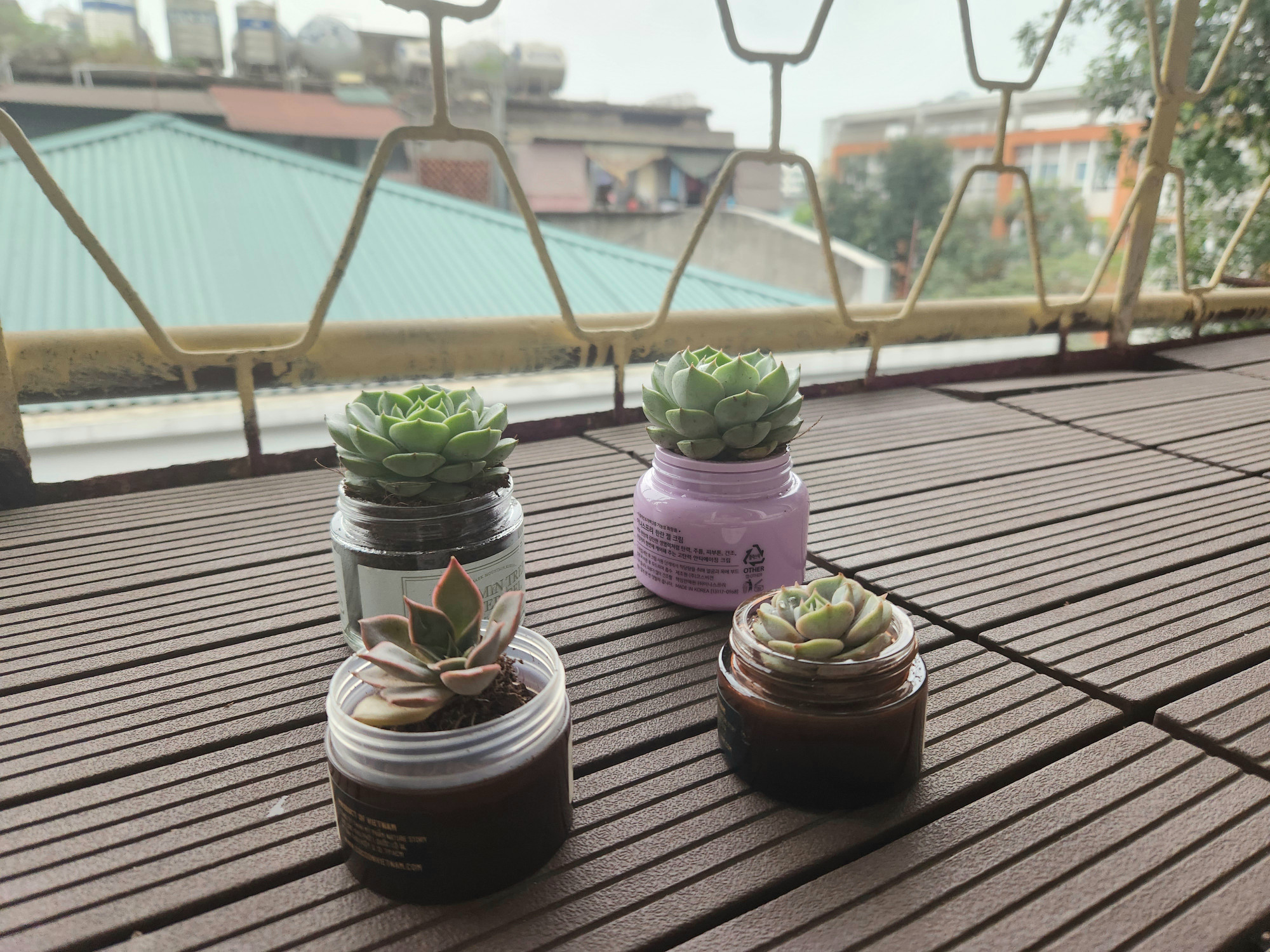 Một số lọ mỹ phẩm khác được tận dụng để trồng sen đá - Ảnh: T.A