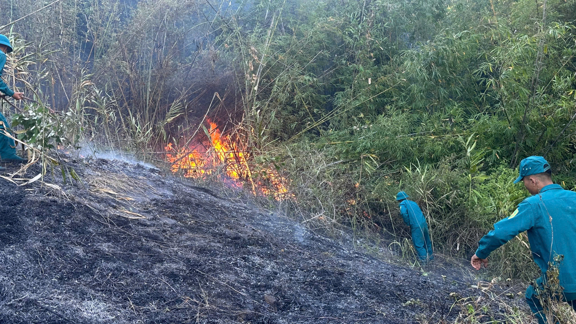 Khu vực xảy ra vụ cháy rừng - ảnh: L.T.