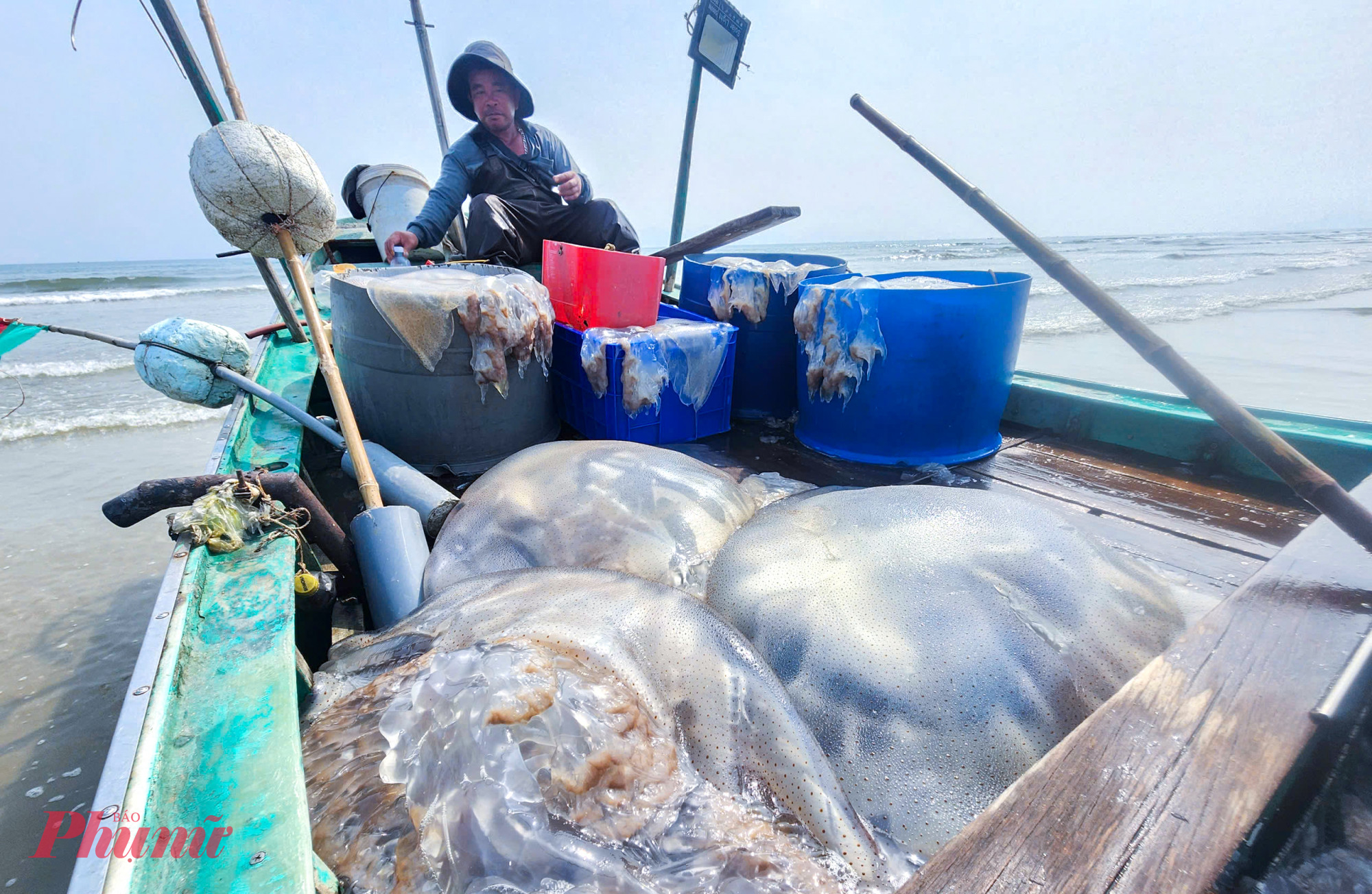 Thuyền đầy ắp sứa biển sau vài giờ ra khơi, liên tục cập bến ở xã Đồng Tiến