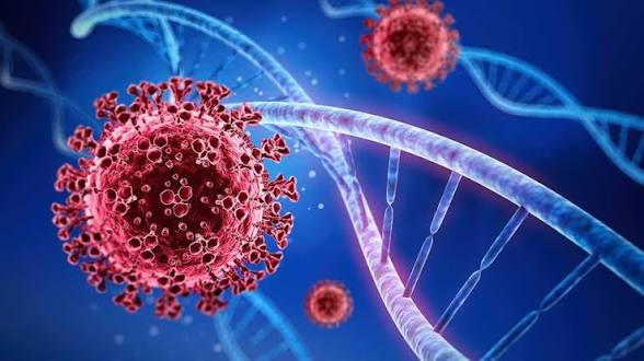 Bô y tế khẳng dịnh nguy cơ thấp