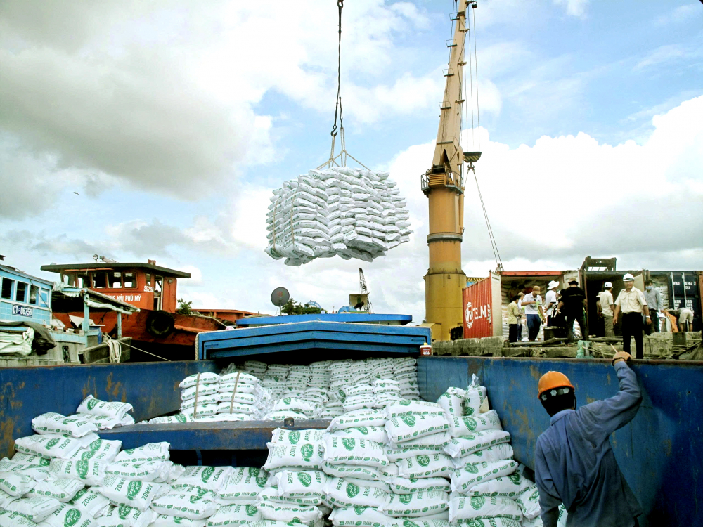 Xuất khẩu gạo của Việt Nam đang chững lại - Ảnh: Huỳnh Lợi