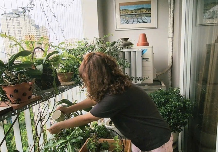 Thêm cây xanh thay vì mua thêm vài đồ trang trí hay những bộ quần áo theo xu hướng - Ảnh: T.A
