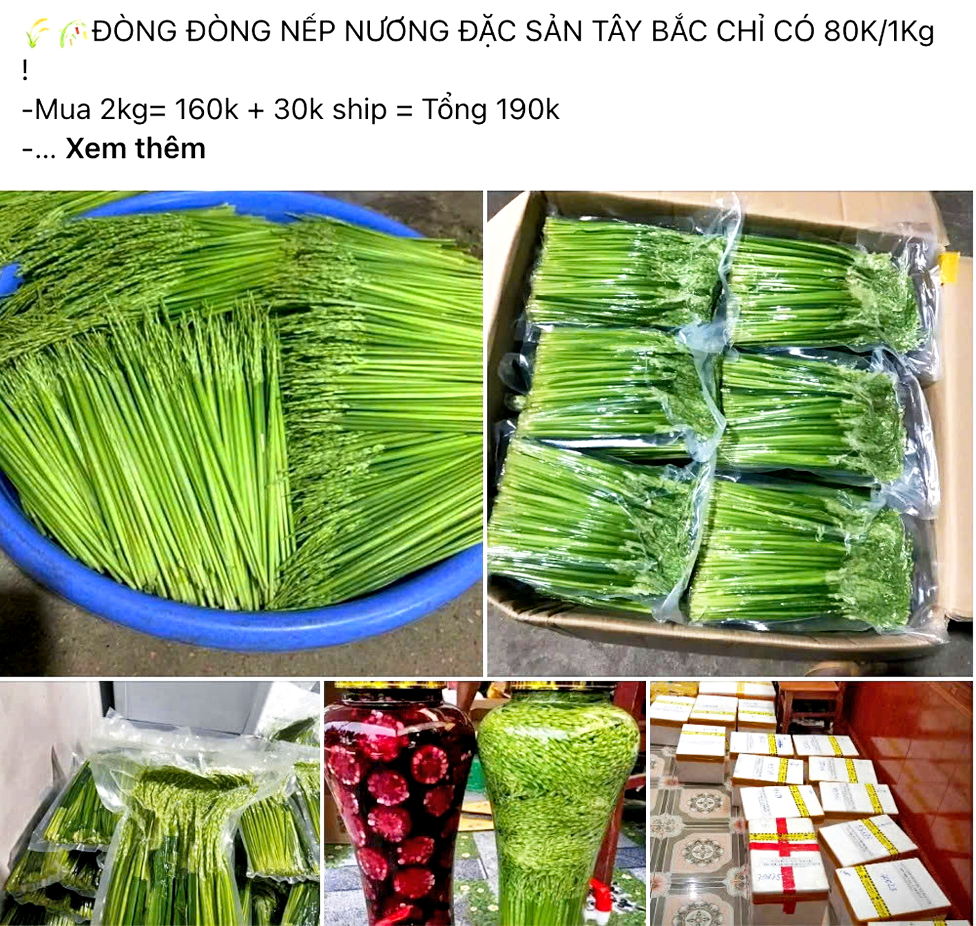 Đòng đòng nếp được rao bán rầm rộ trên mạng xã hội Facebook
