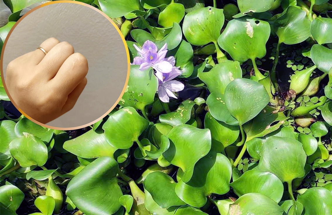 Vết sẹo nhỏ đã mờ theo năm tháng nhưng ký ức vẫn đọng mãi  trong tim - Ảnh do tác giả cung cấp