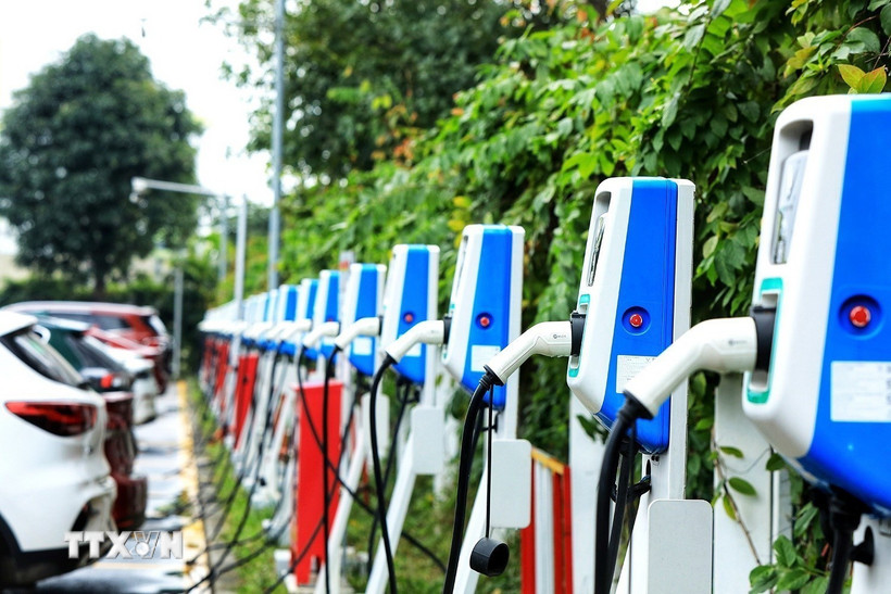 ( Ảnh: Tuấn Anh/TTXVN)